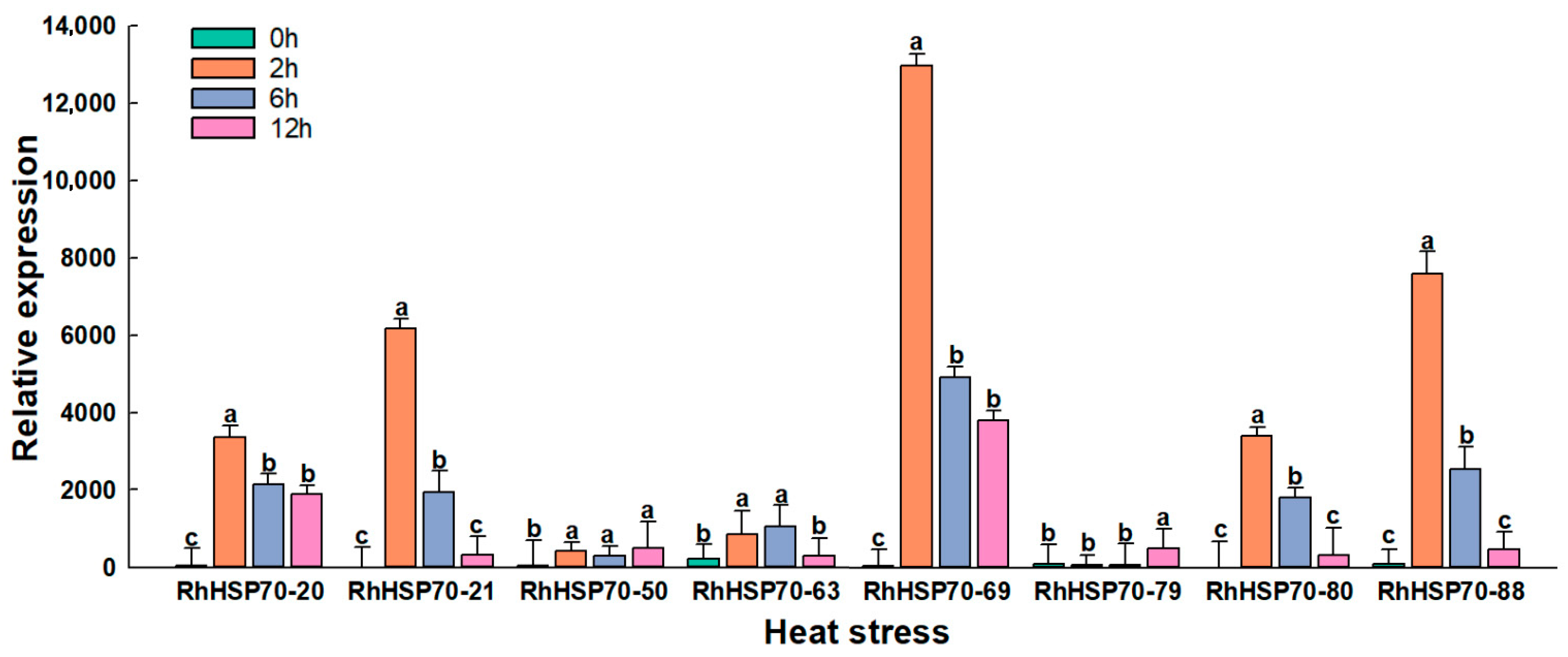 Horticulturae 11 00643 g010