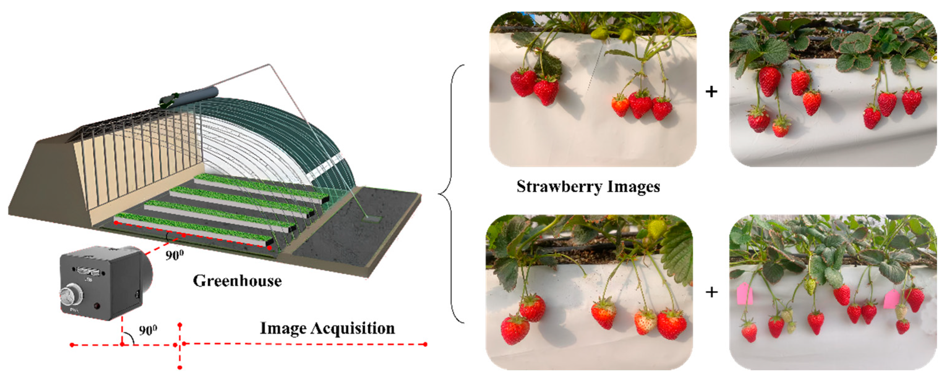 Horticulturae 11 00652 g001