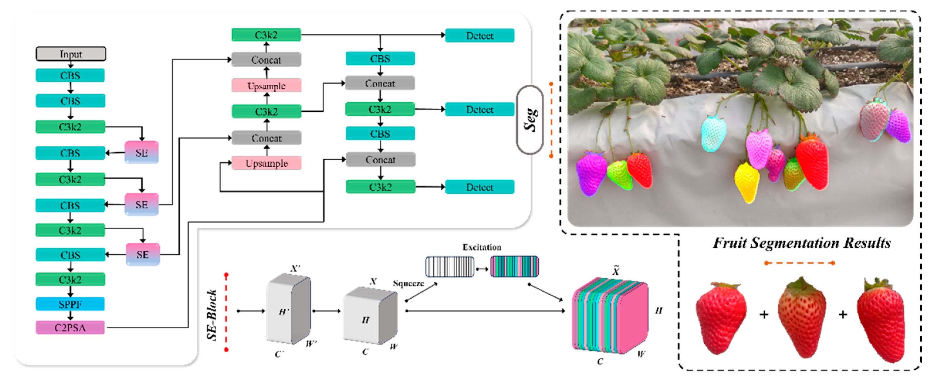 Horticulturae 11 00652 g002