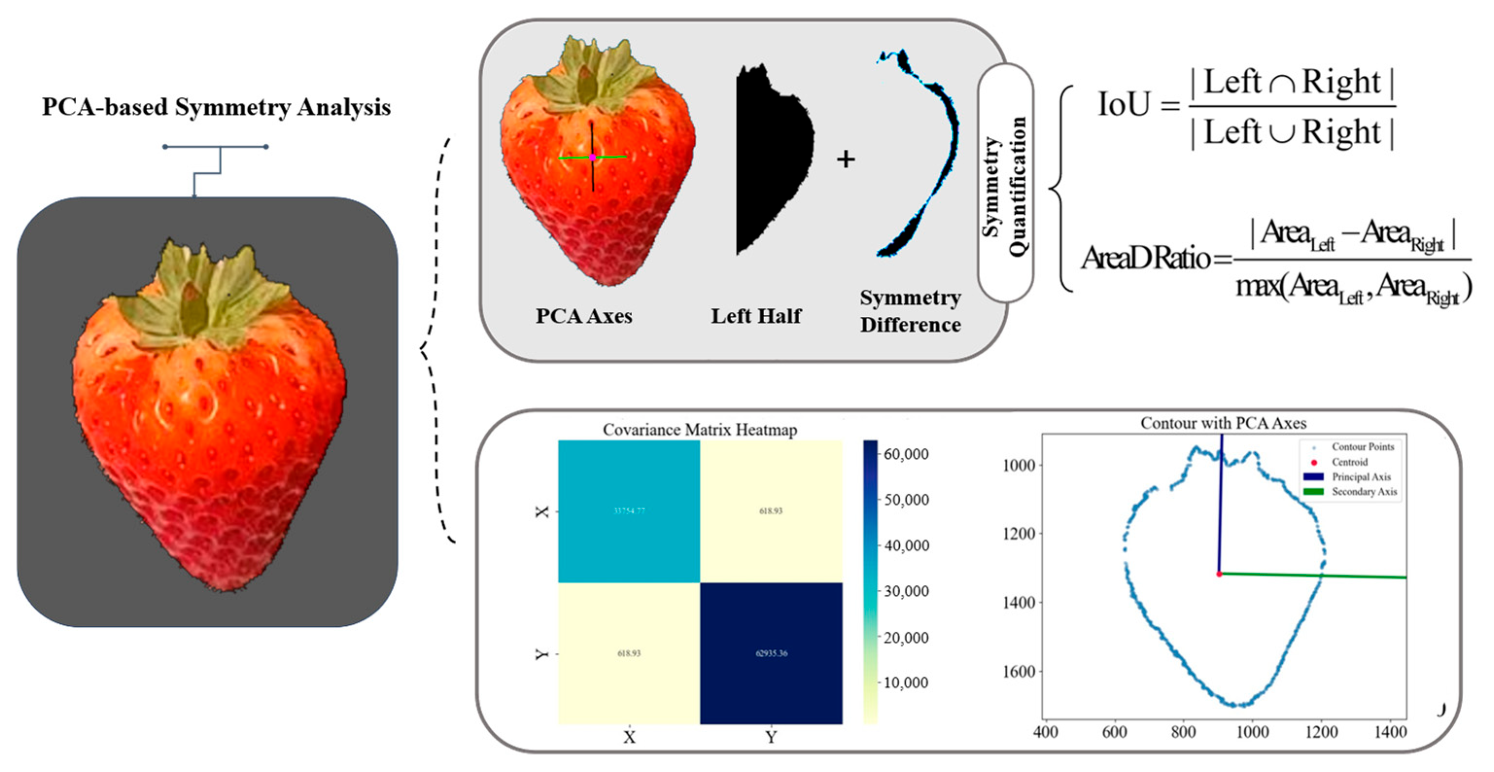 Horticulturae 11 00652 g004