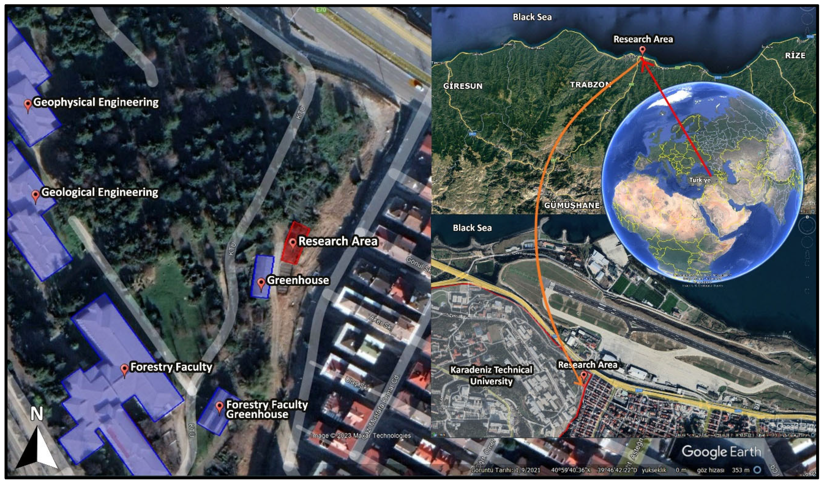 Horticulturae 11 00653 g002