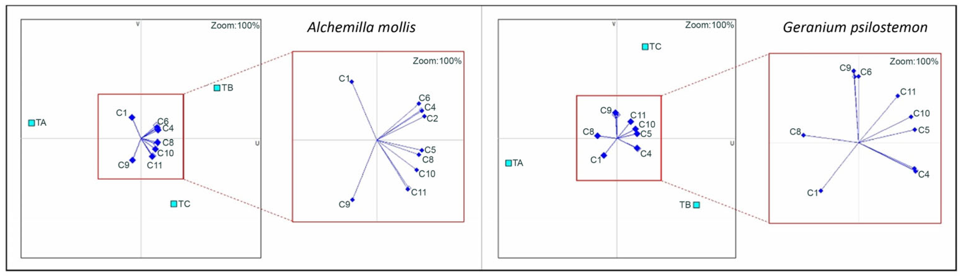Horticulturae 11 00653 g004