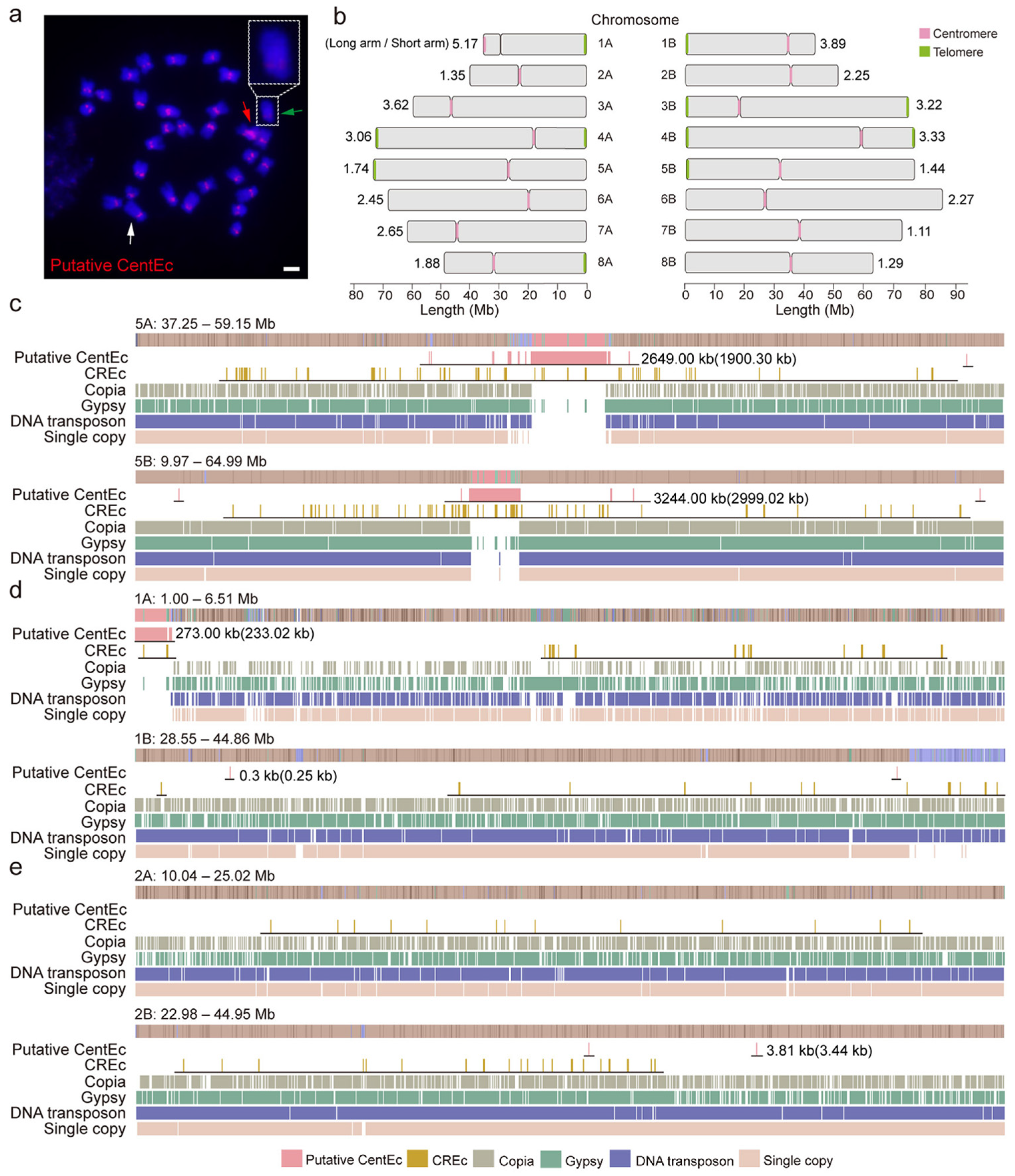 Horticulturae 11 00657 g003
