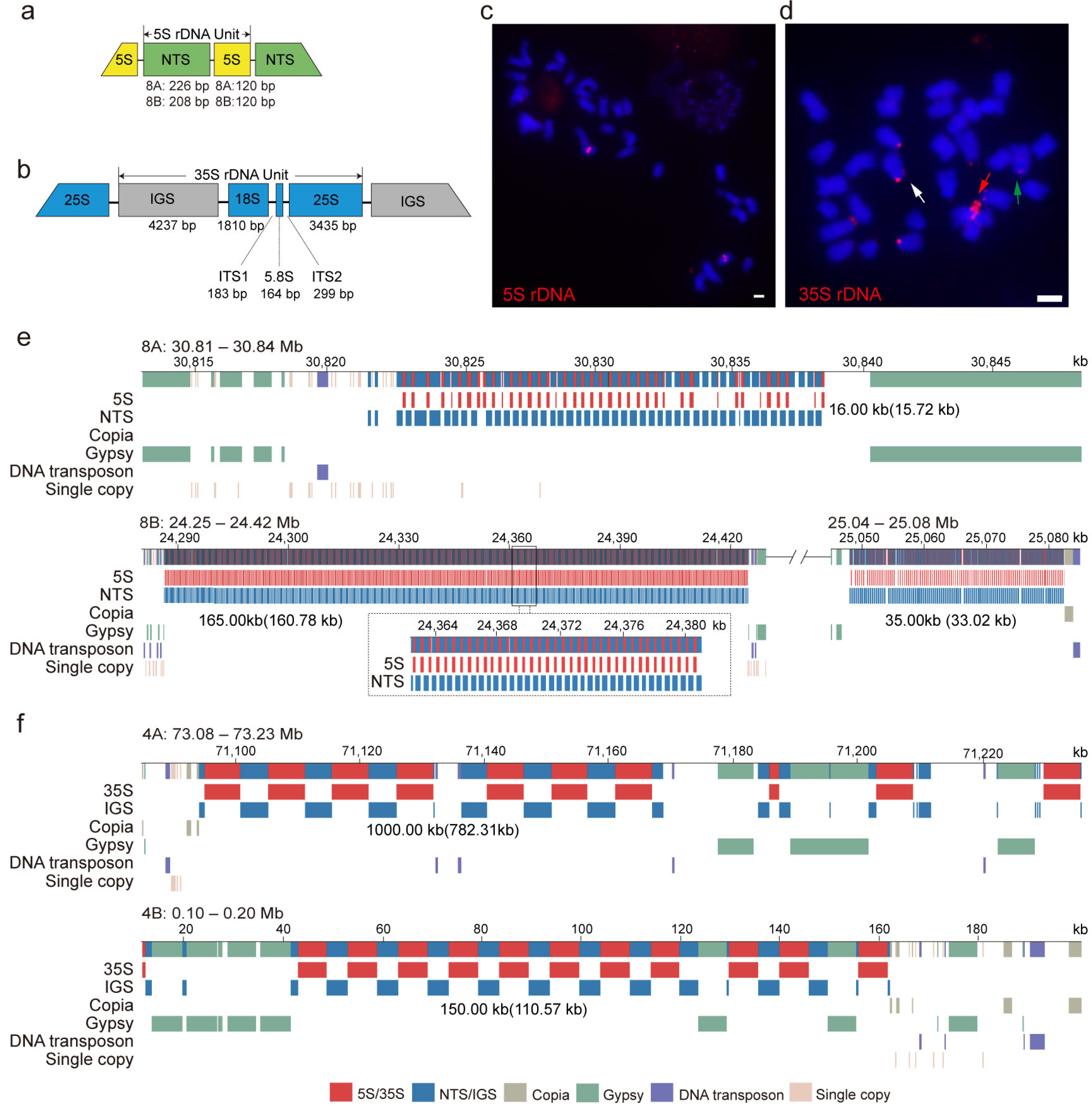 Horticulturae 11 00657 g005