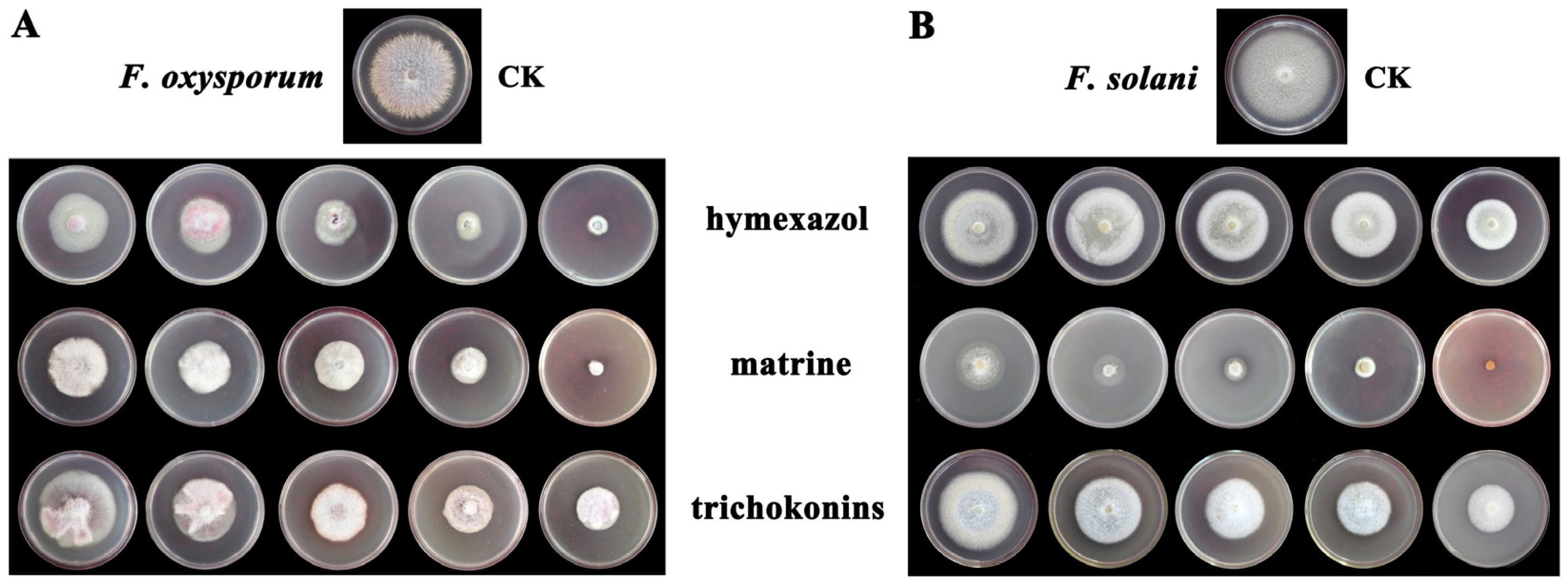 Horticulturae 11 00660 g002