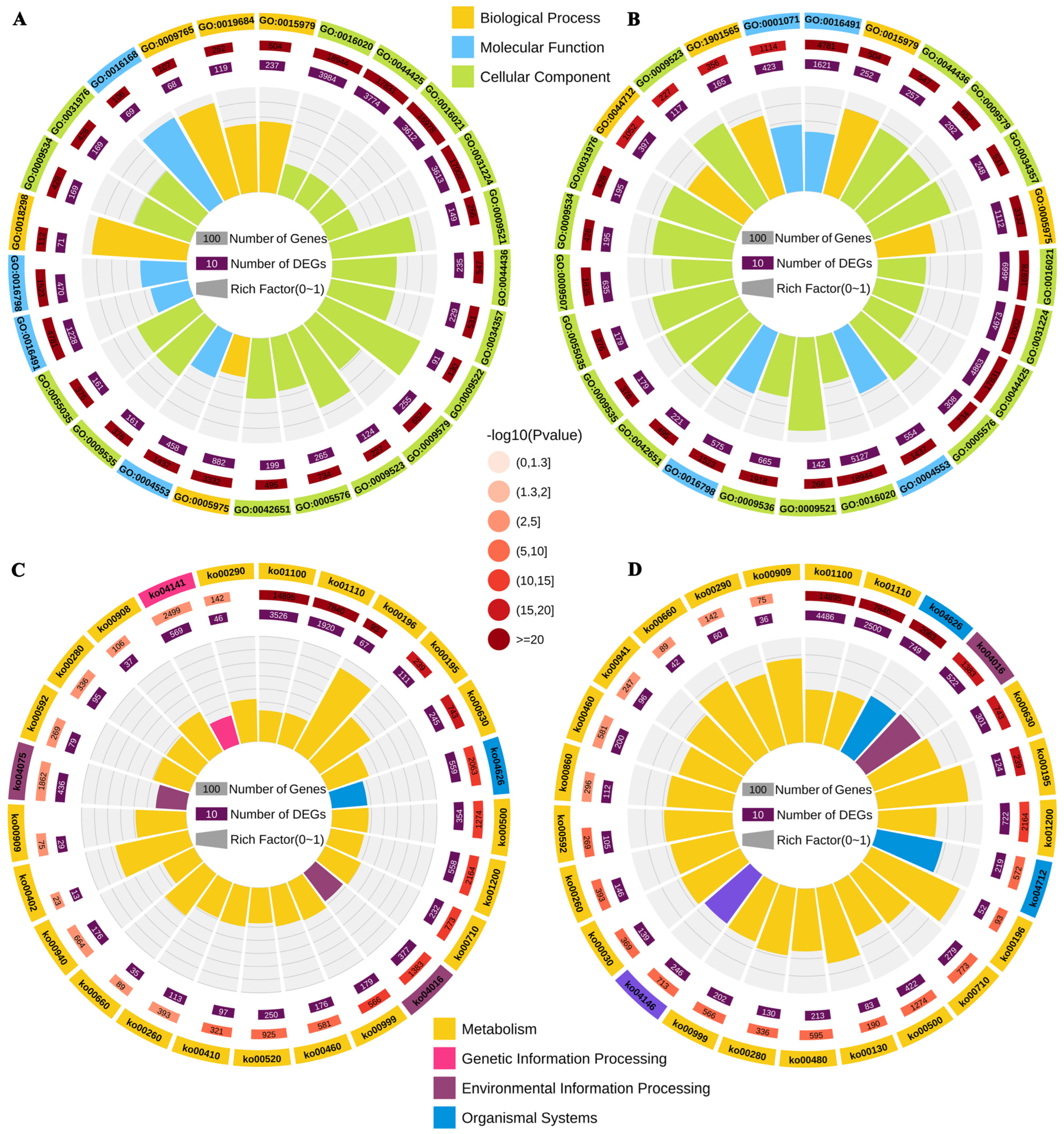 Horticulturae 11 00660 g004