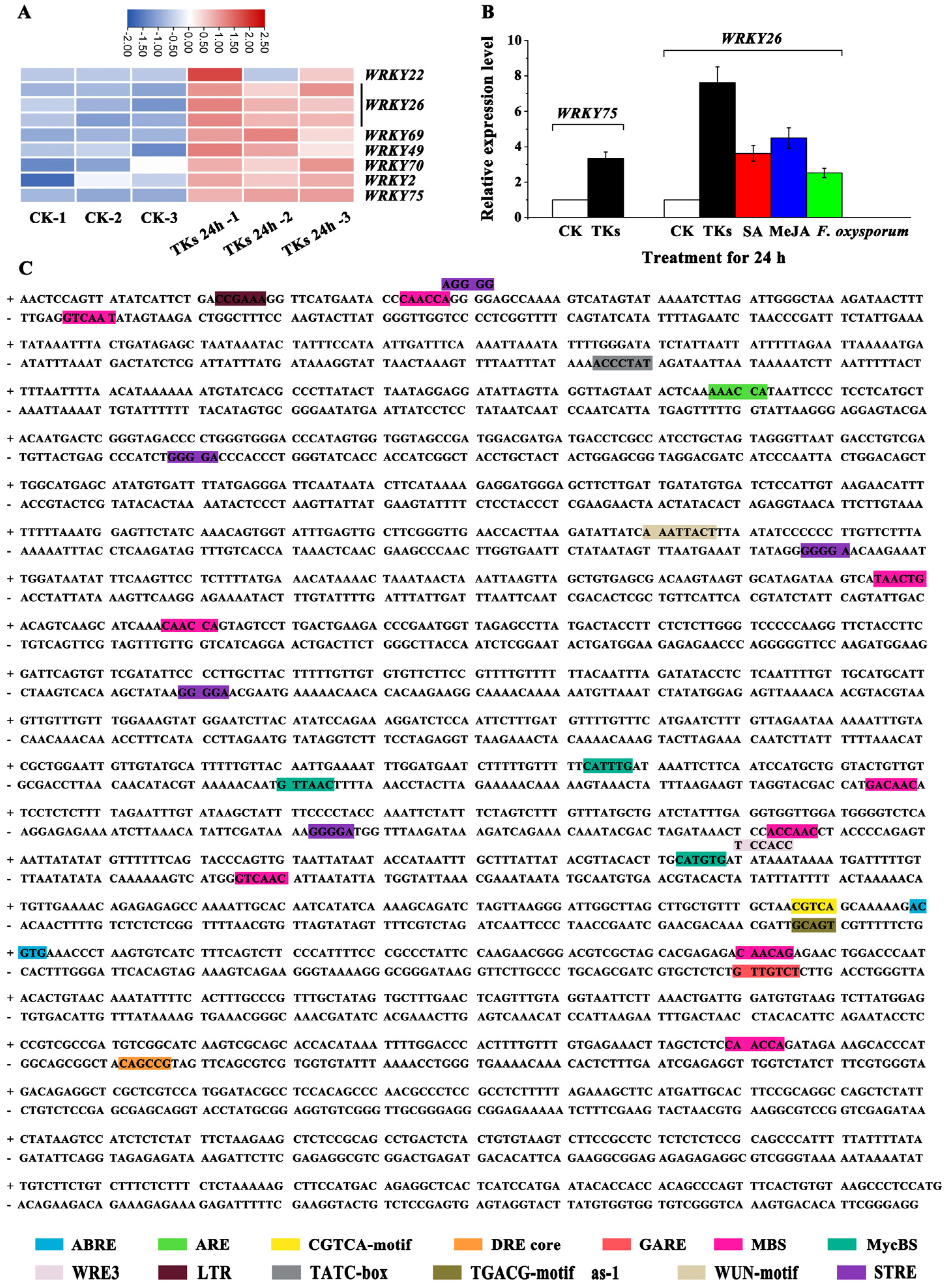 Horticulturae 11 00660 g007
