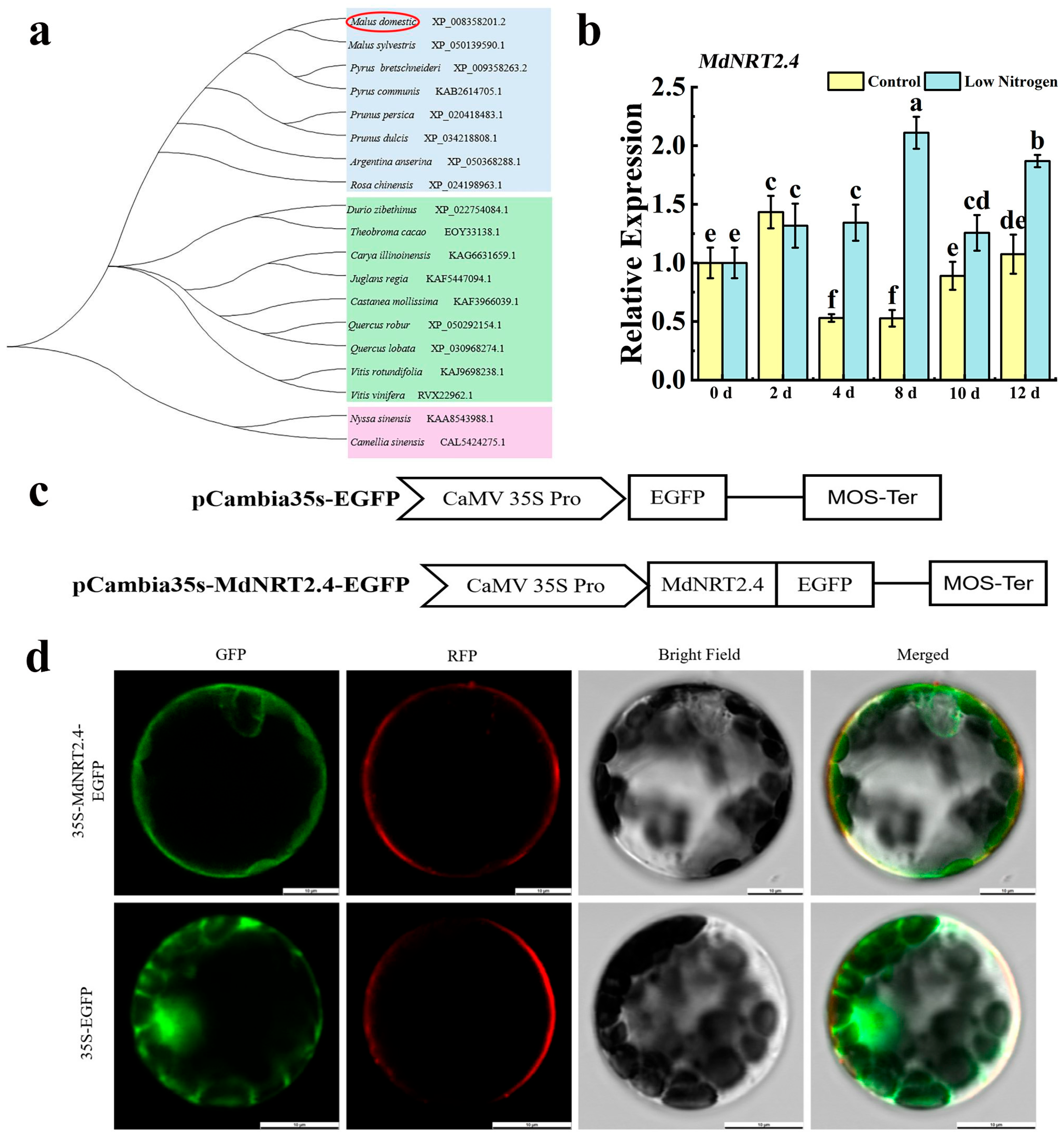 Horticulturae 11 00662 g001
