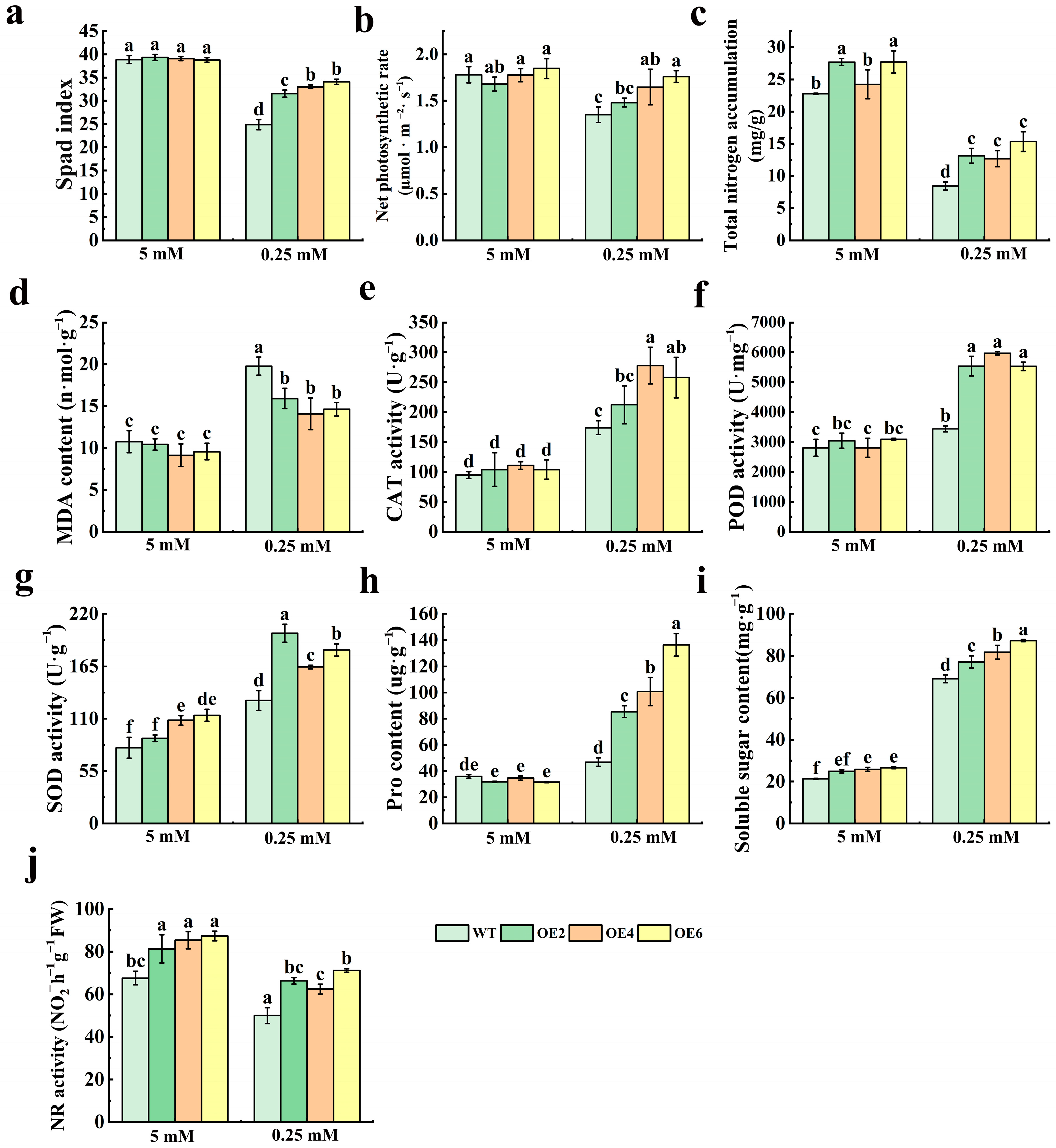 Horticulturae 11 00662 g004