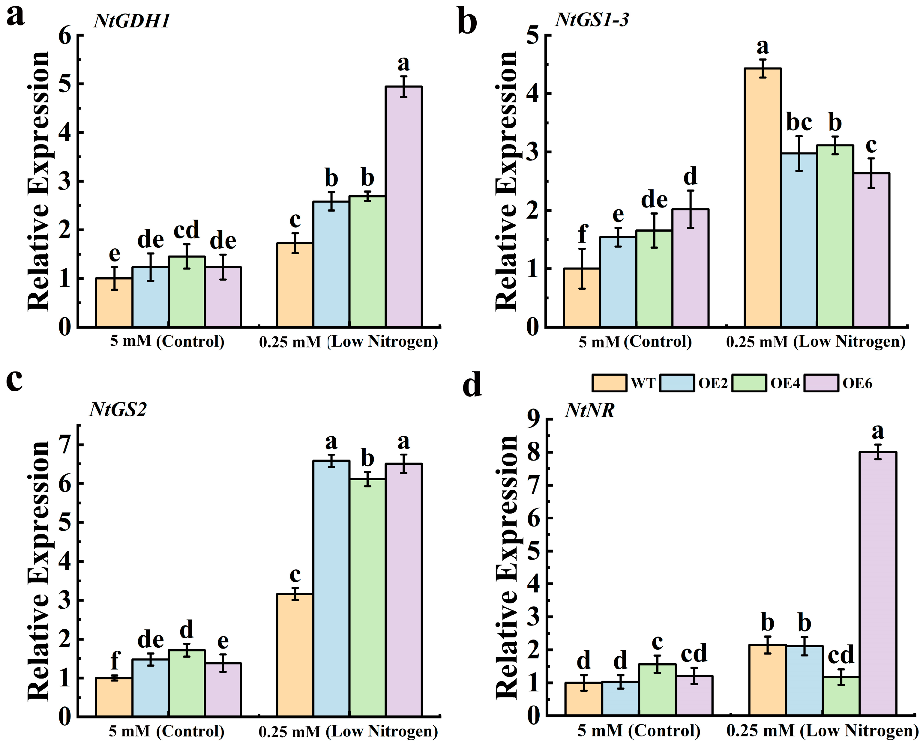 Horticulturae 11 00662 g005