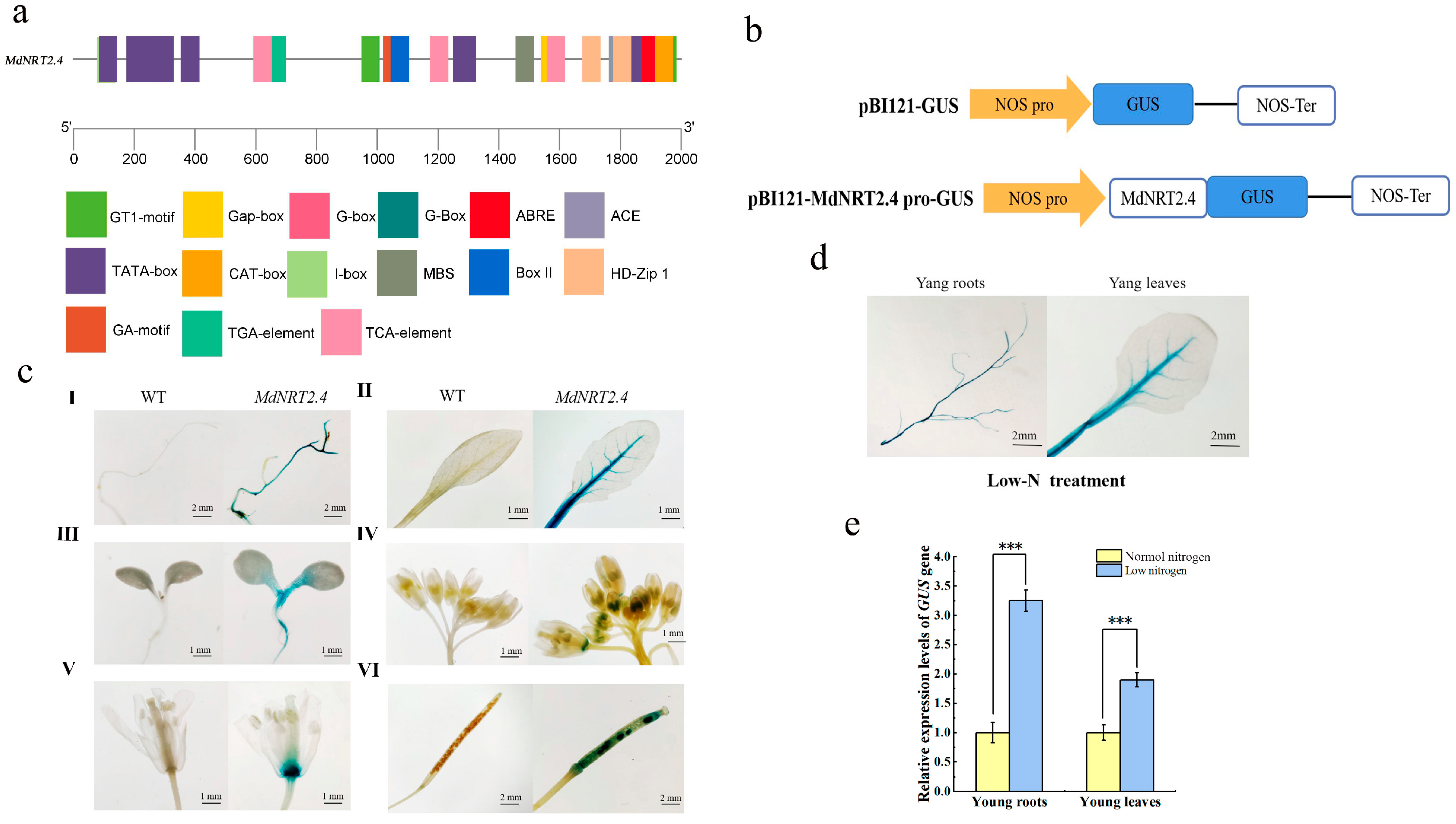 Horticulturae 11 00662 g006
