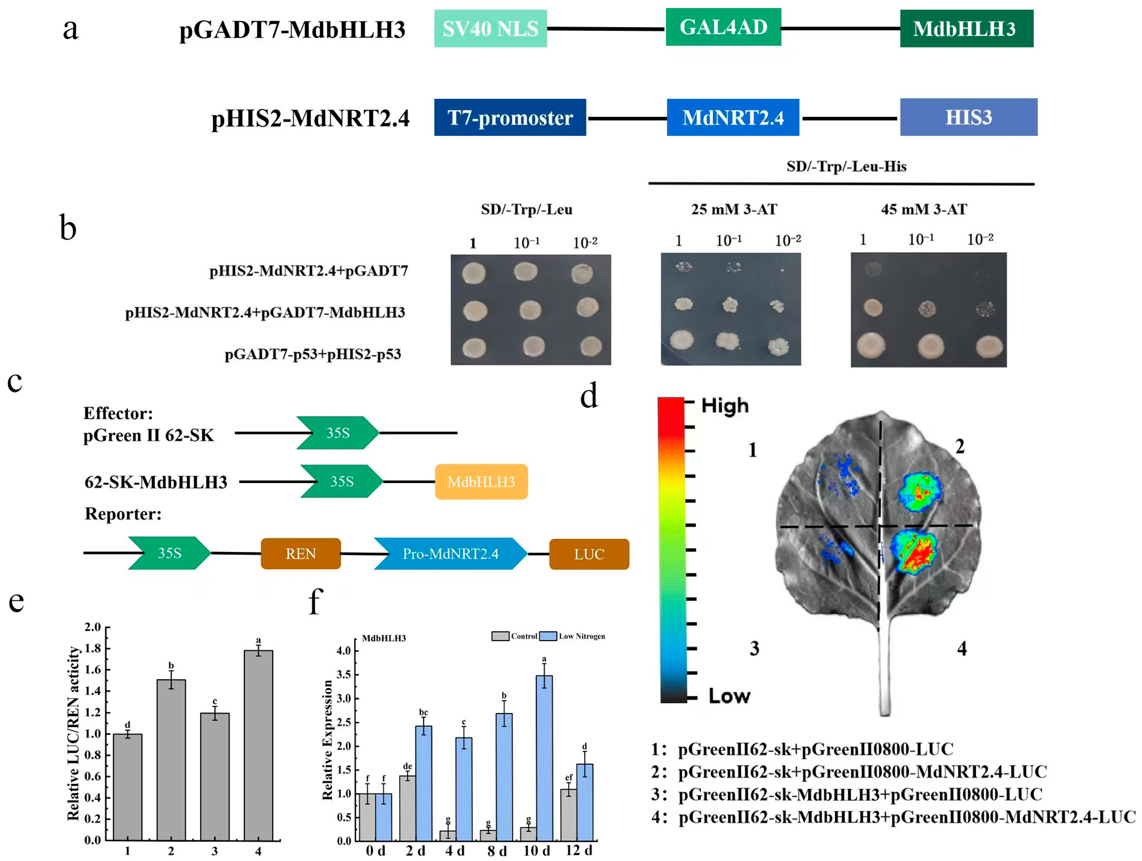 Horticulturae 11 00662 g007