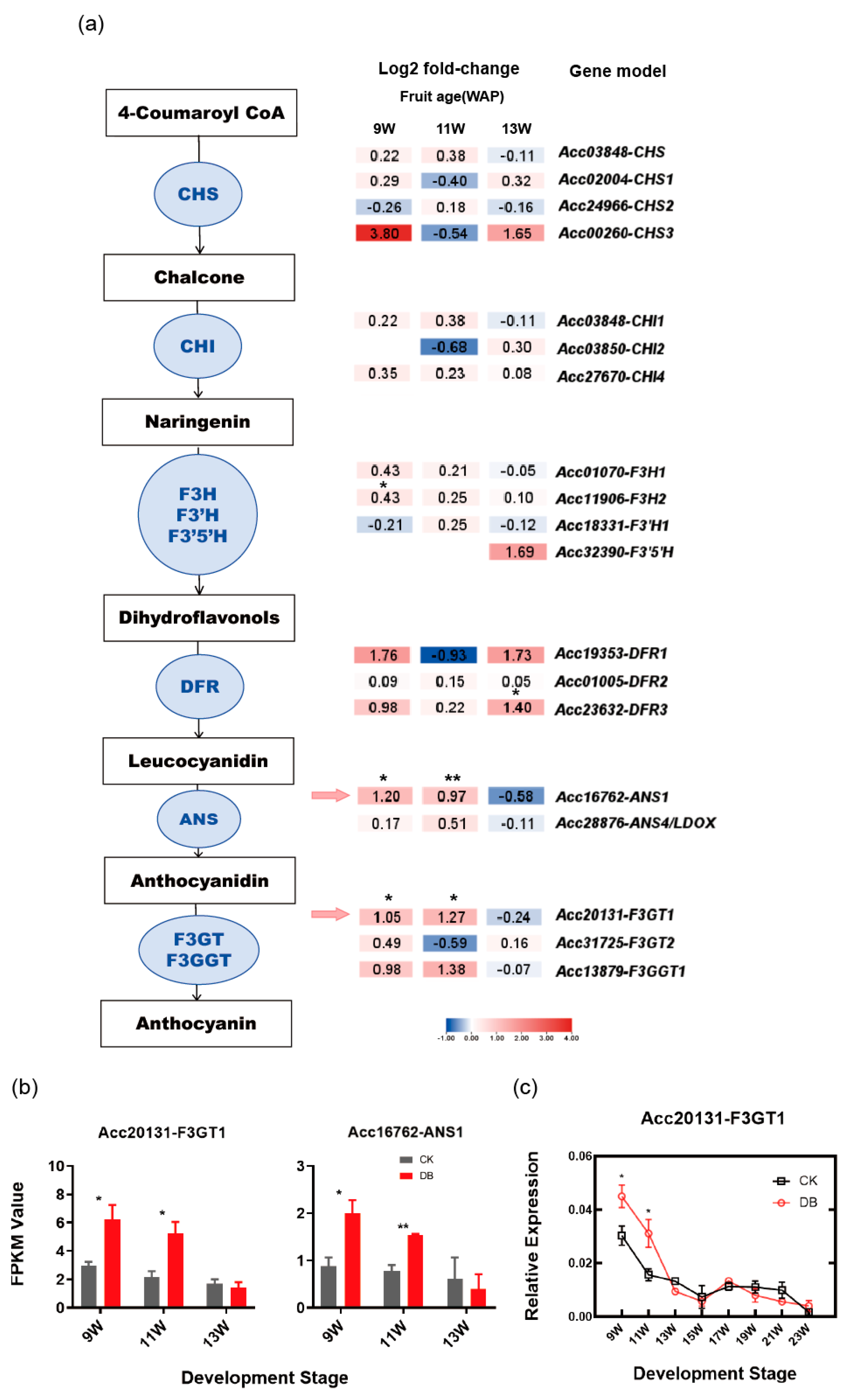 Horticulturae 11 00666 g002