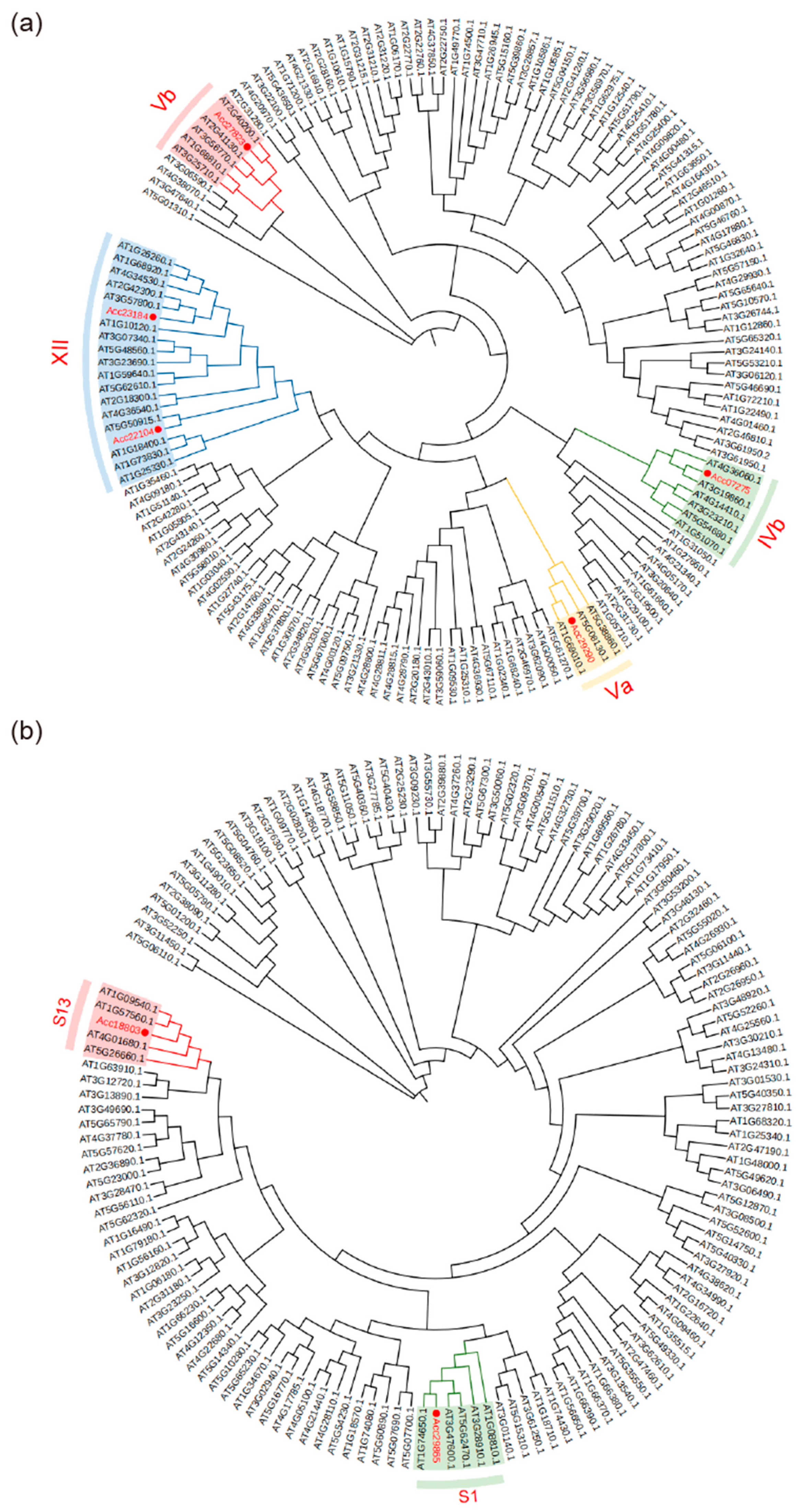 Horticulturae 11 00666 g005