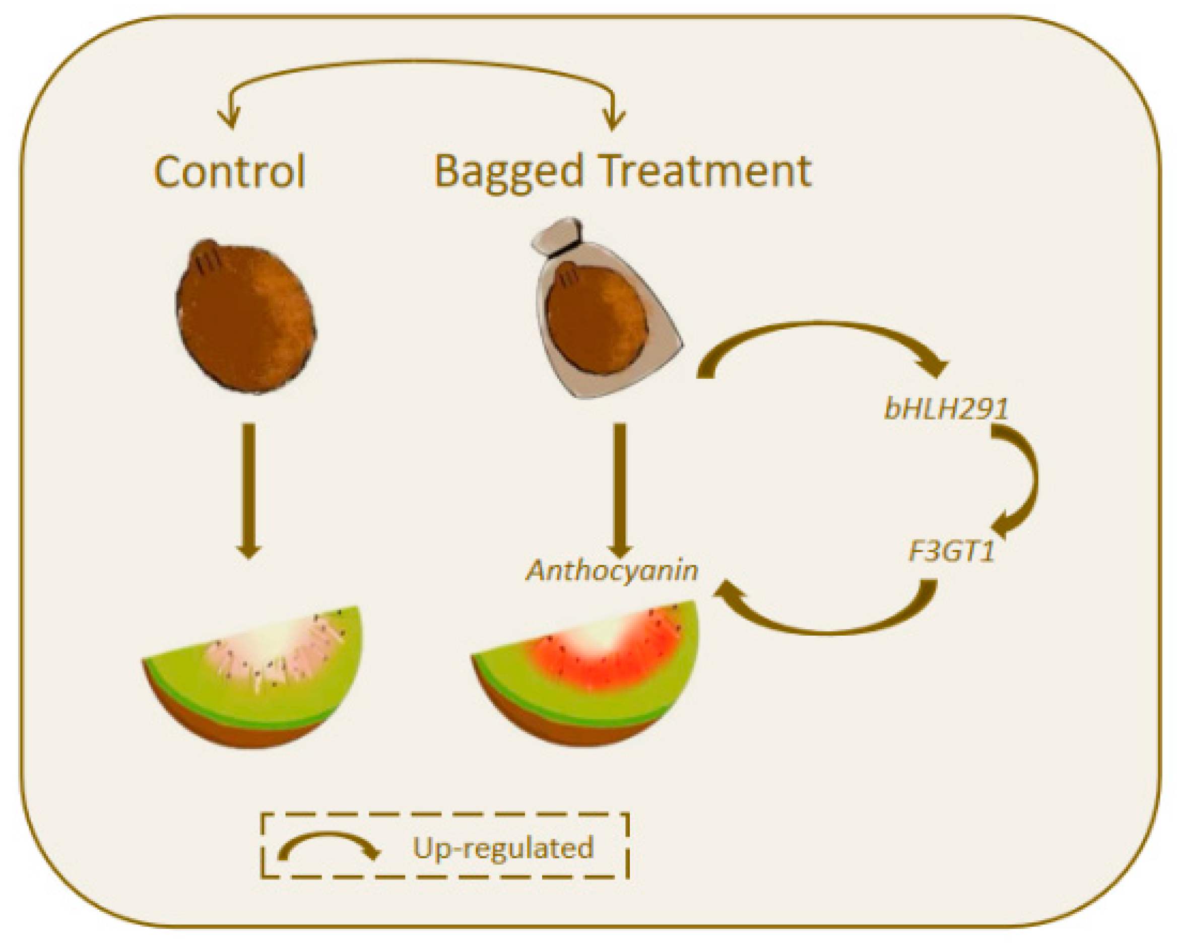 Horticulturae 11 00666 g006