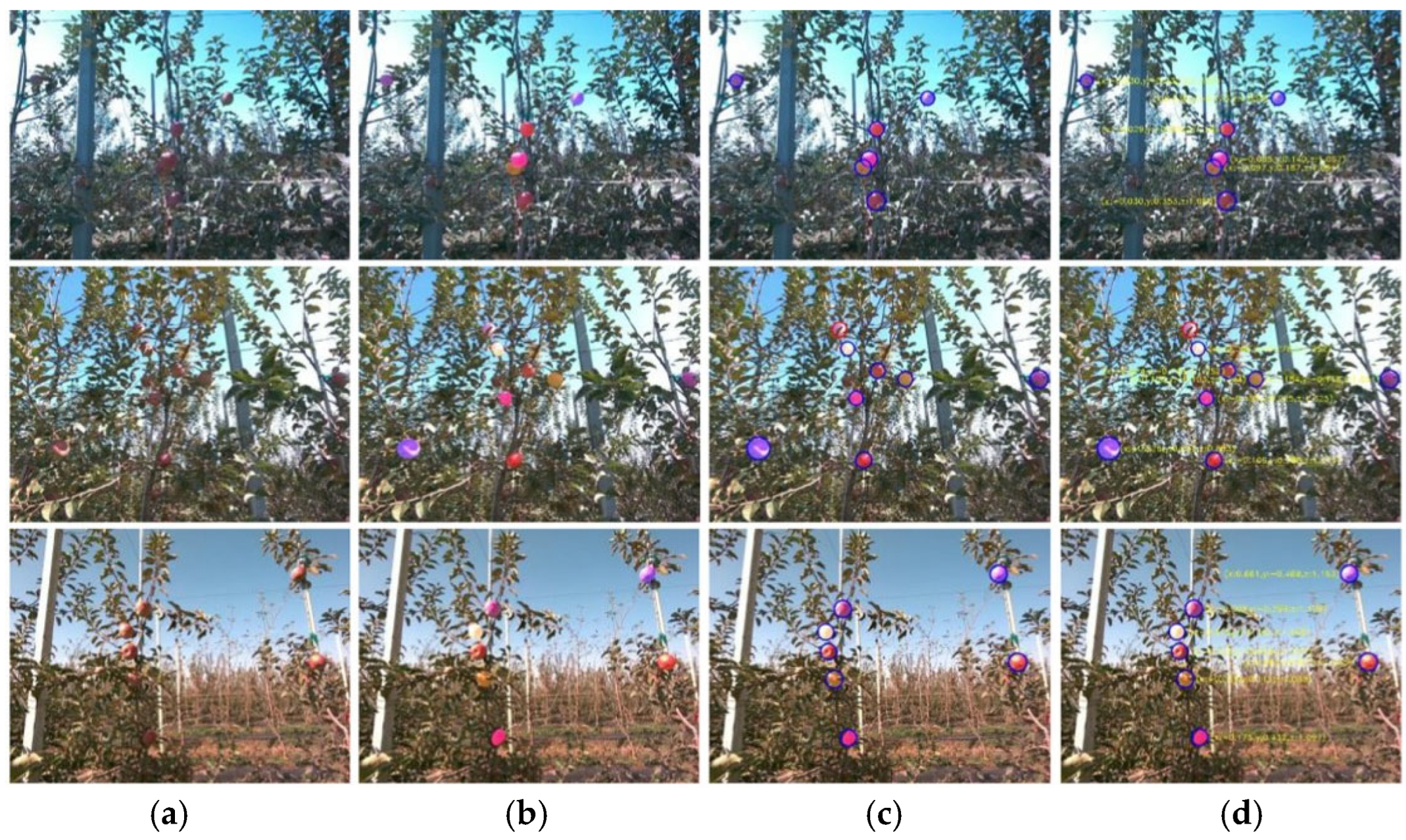 Horticulturae 11 00668 g001