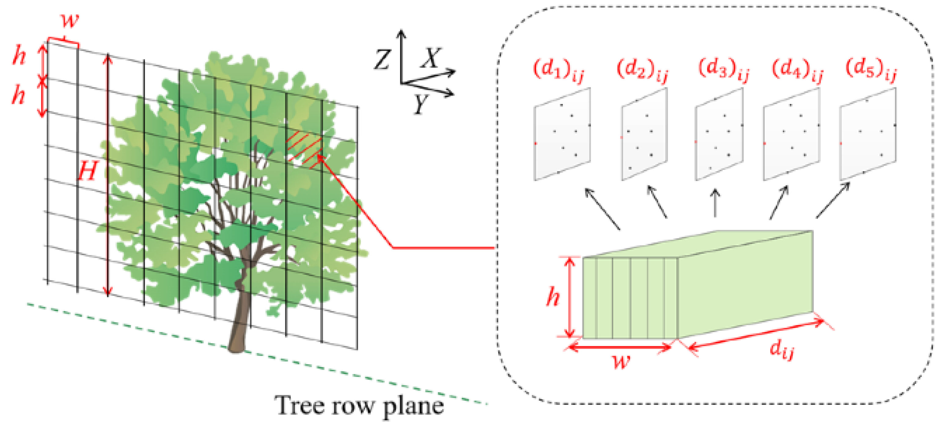 Horticulturae 11 00668 g002