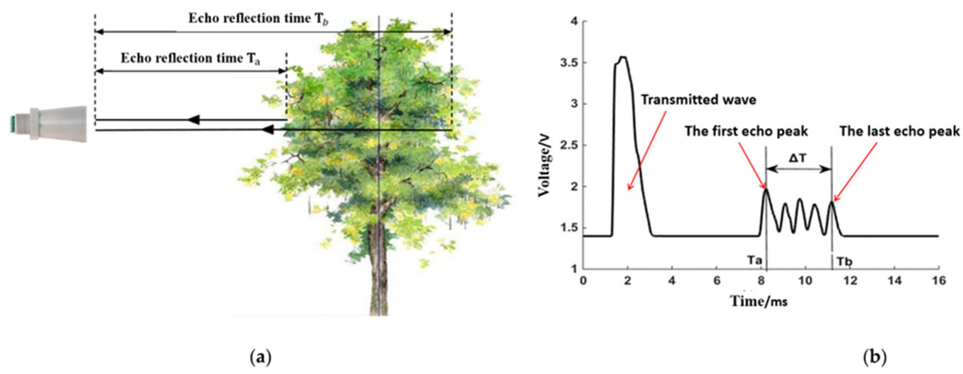 Horticulturae 11 00668 g003