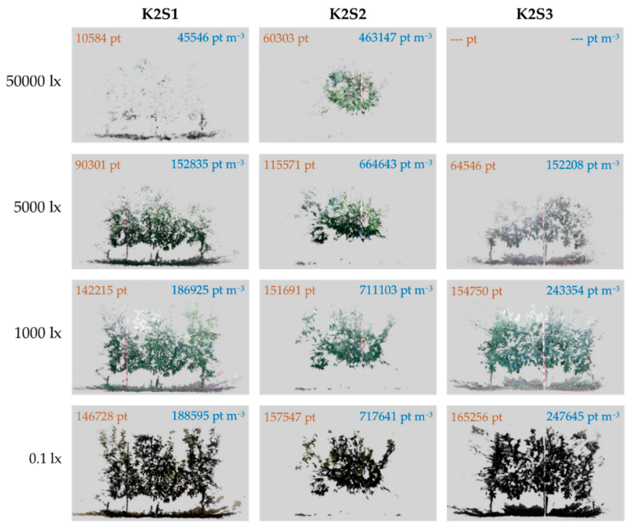 Horticulturae 11 00668 g007