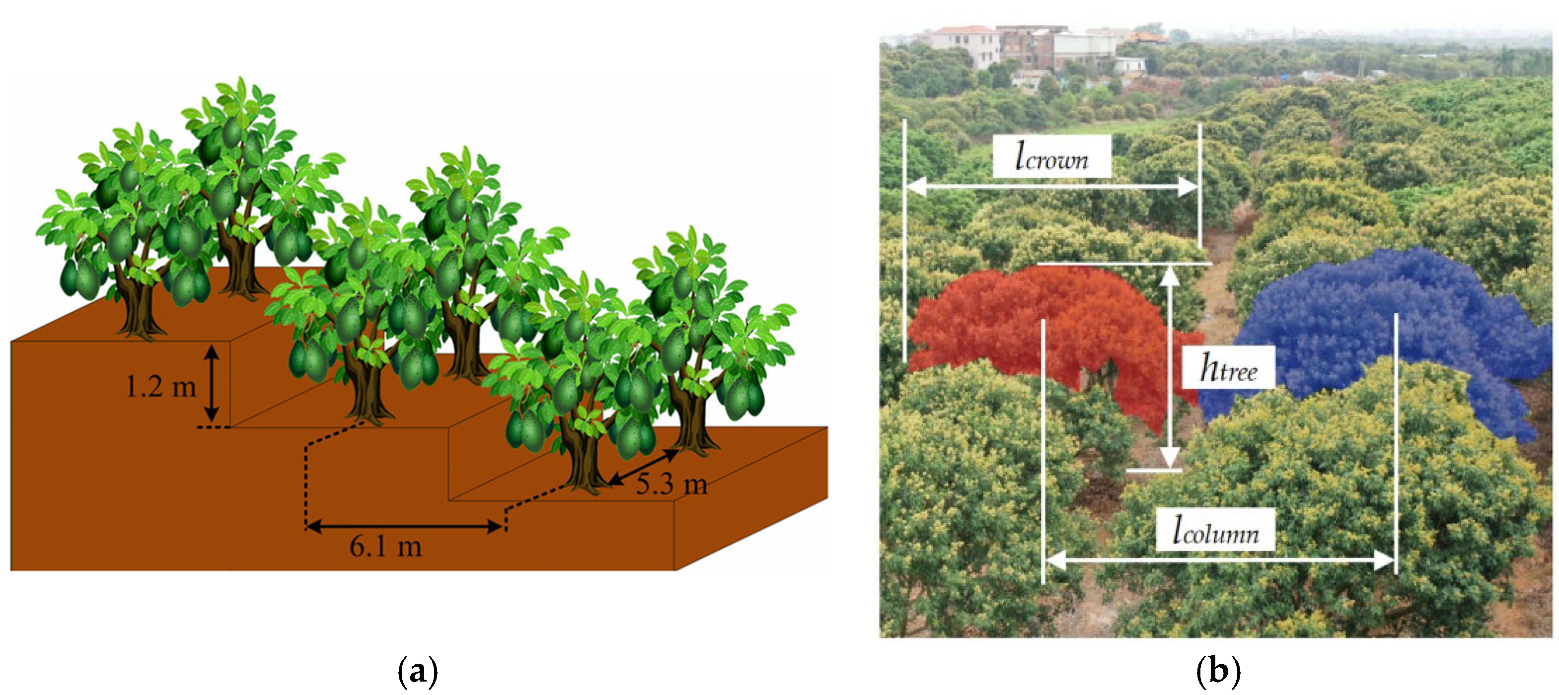 Horticulturae 11 00668 g008