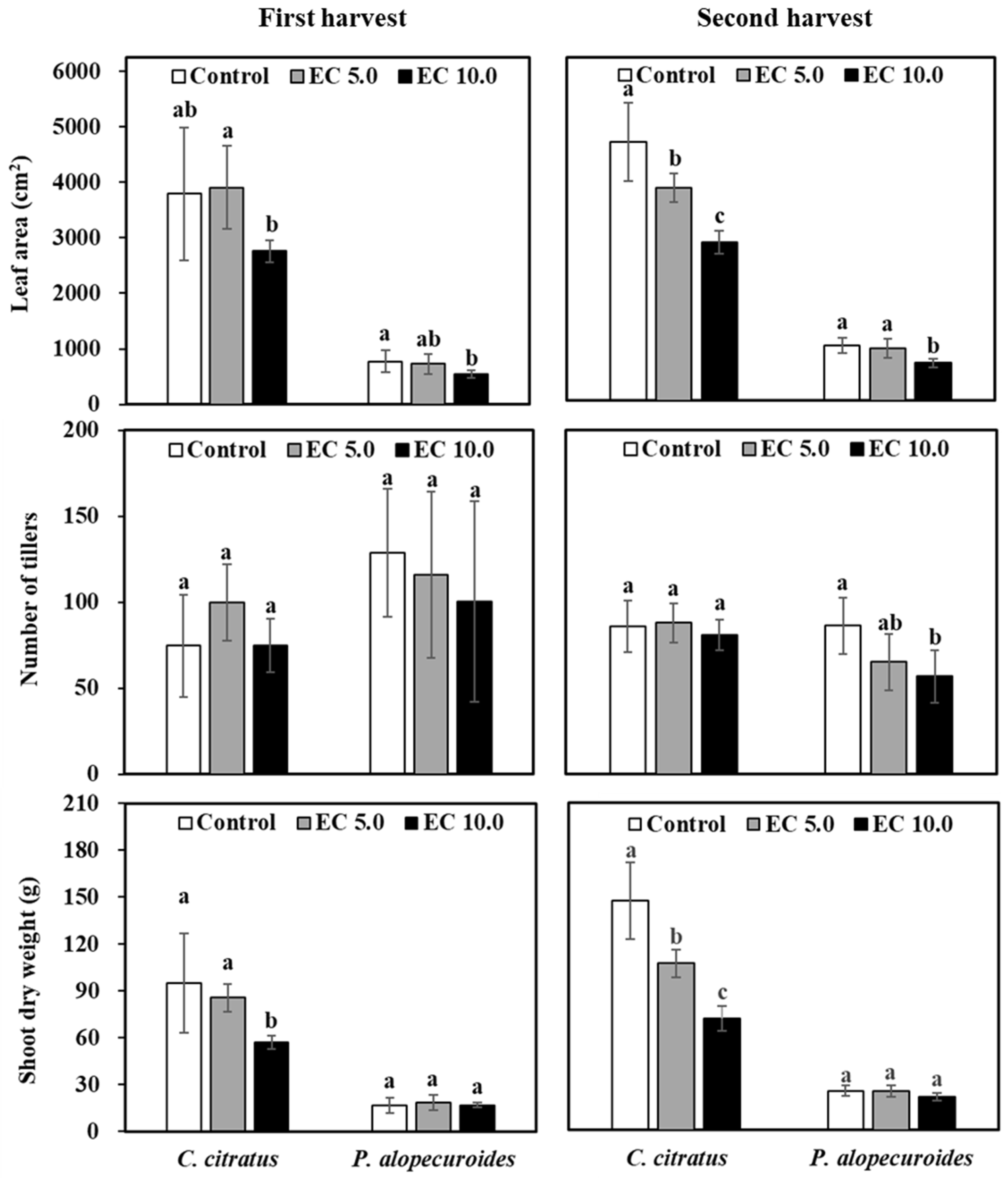 Horticulturae 11 00670 g004 Horticulturae 11 00670 g004