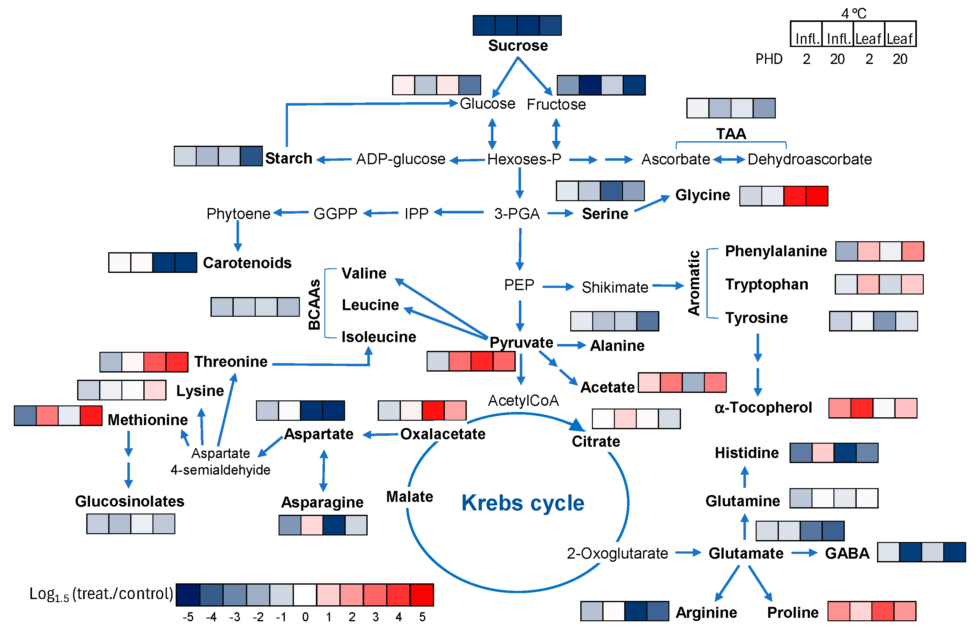 Horticulturae 11 00673 g005