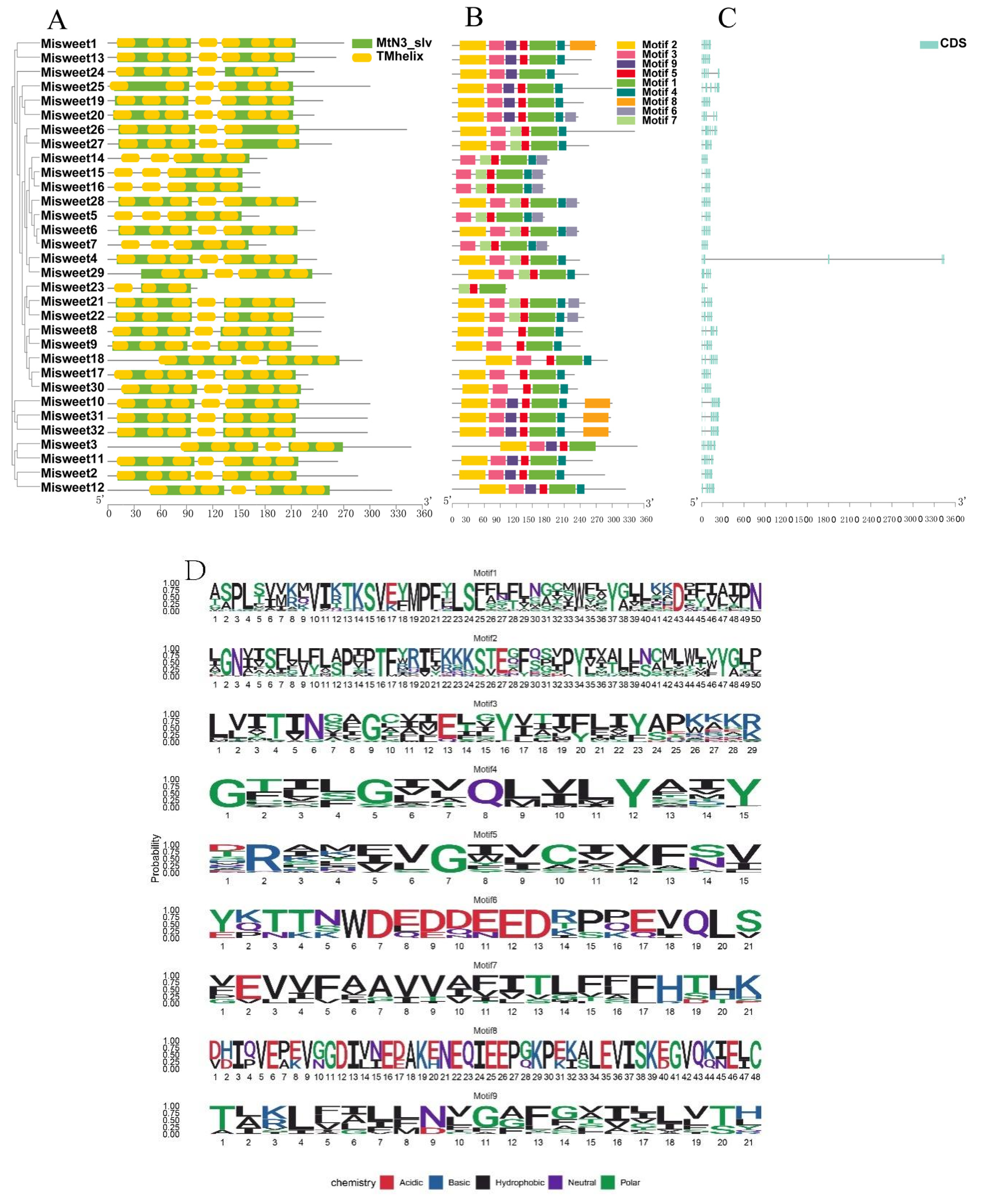 Horticulturae 11 00675 g003