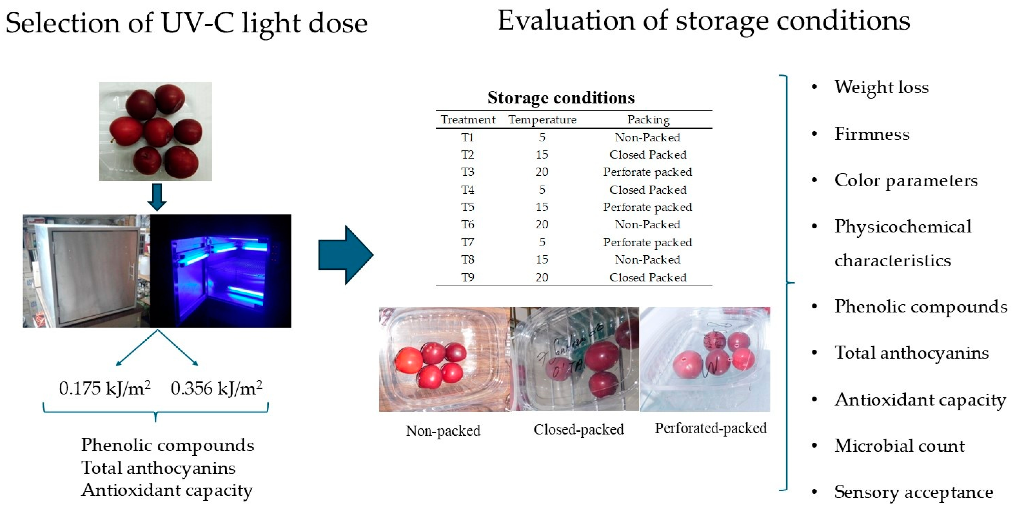 Horticulturae 11 00683 g001