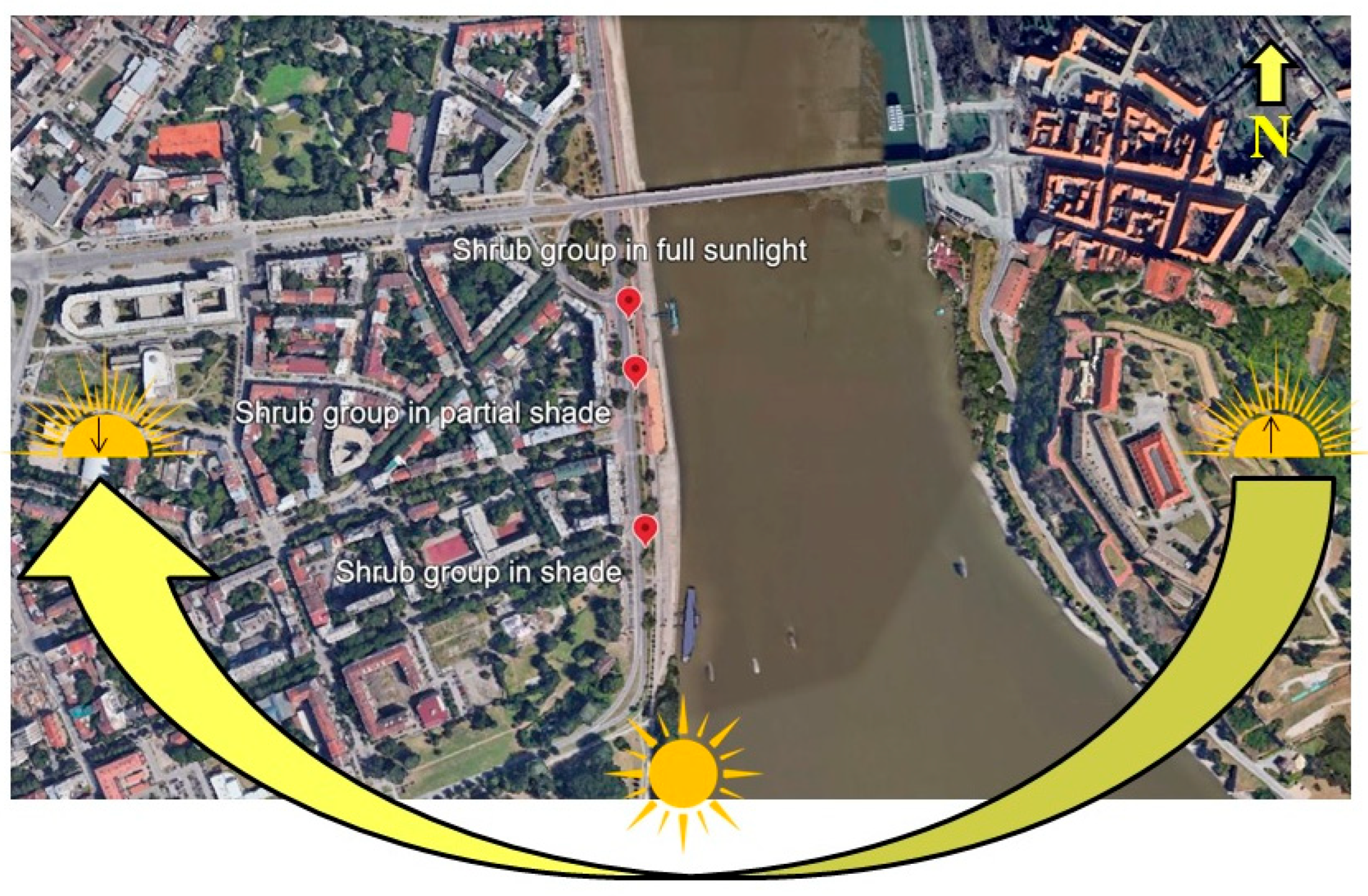 Horticulturae 11 00684 g002