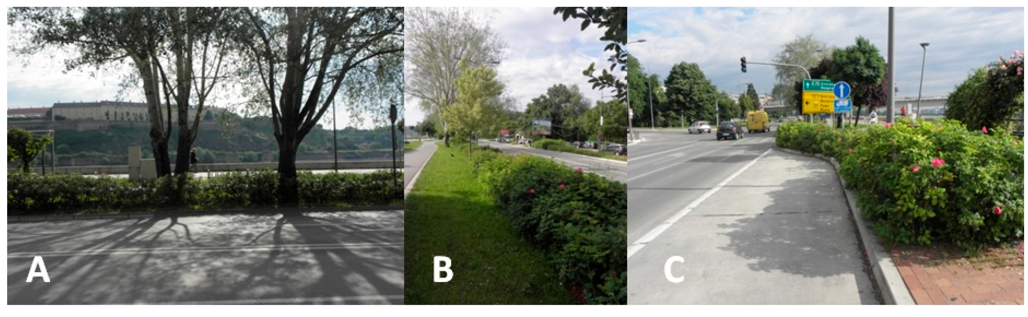 Horticulturae 11 00684 g008