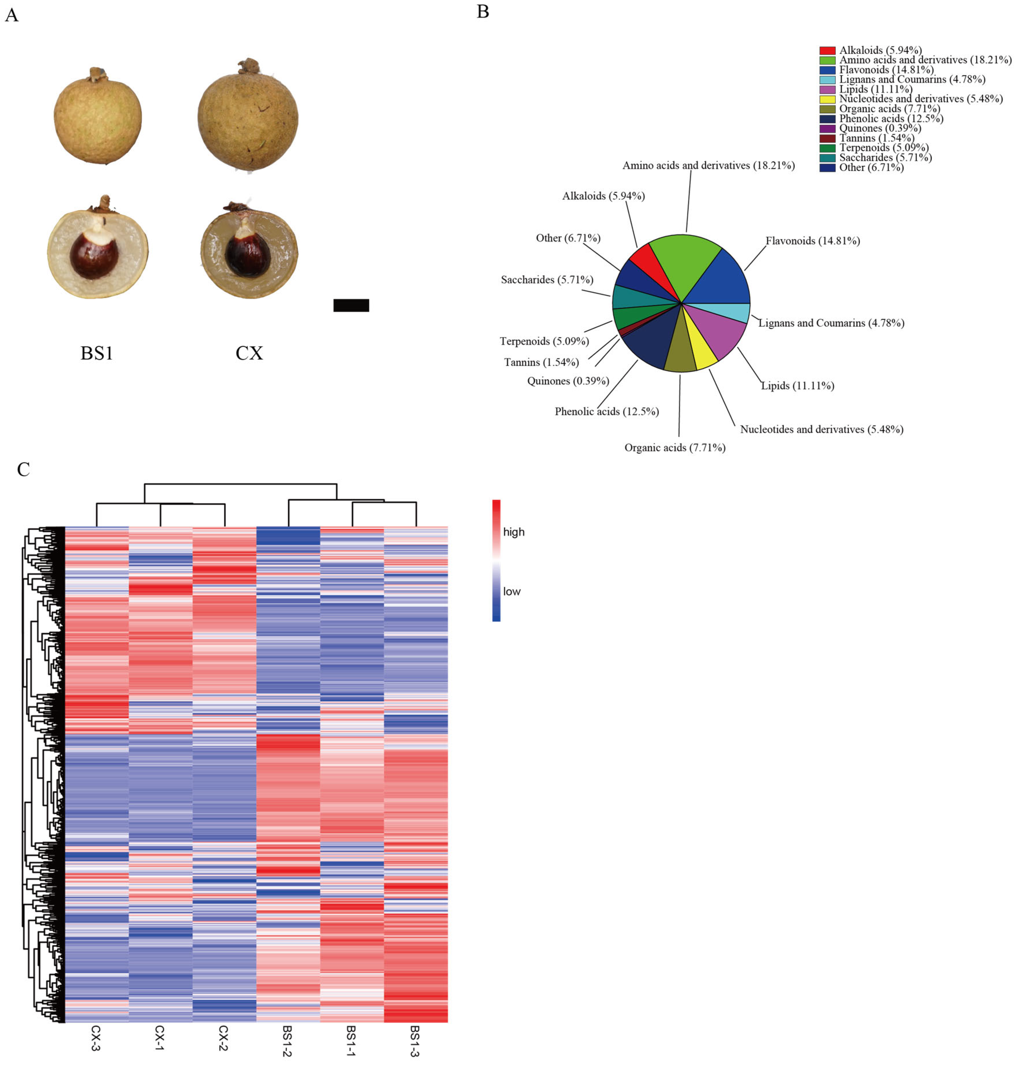 Horticulturae 11 00686 g002