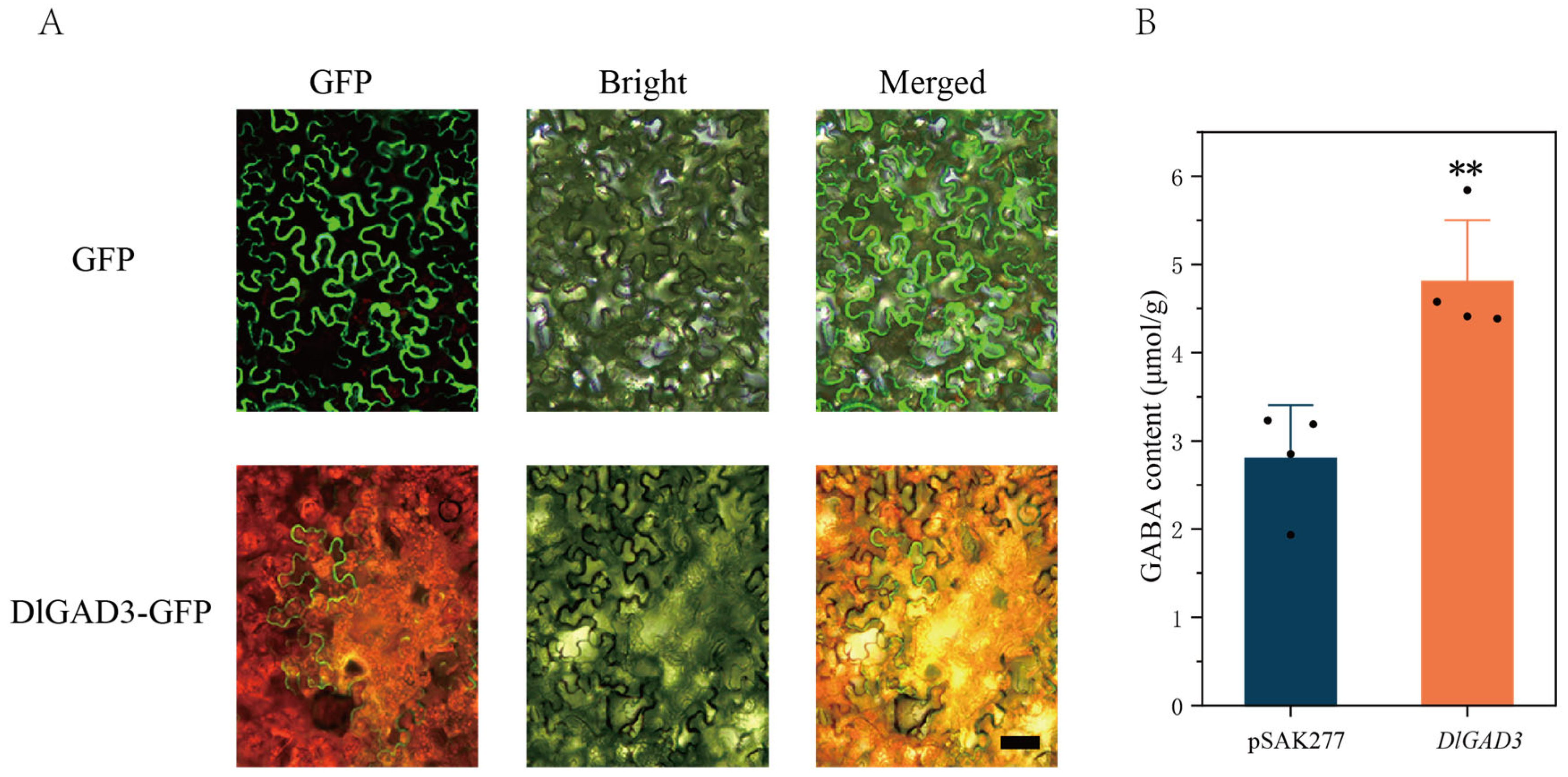 Horticulturae 11 00686 g007
