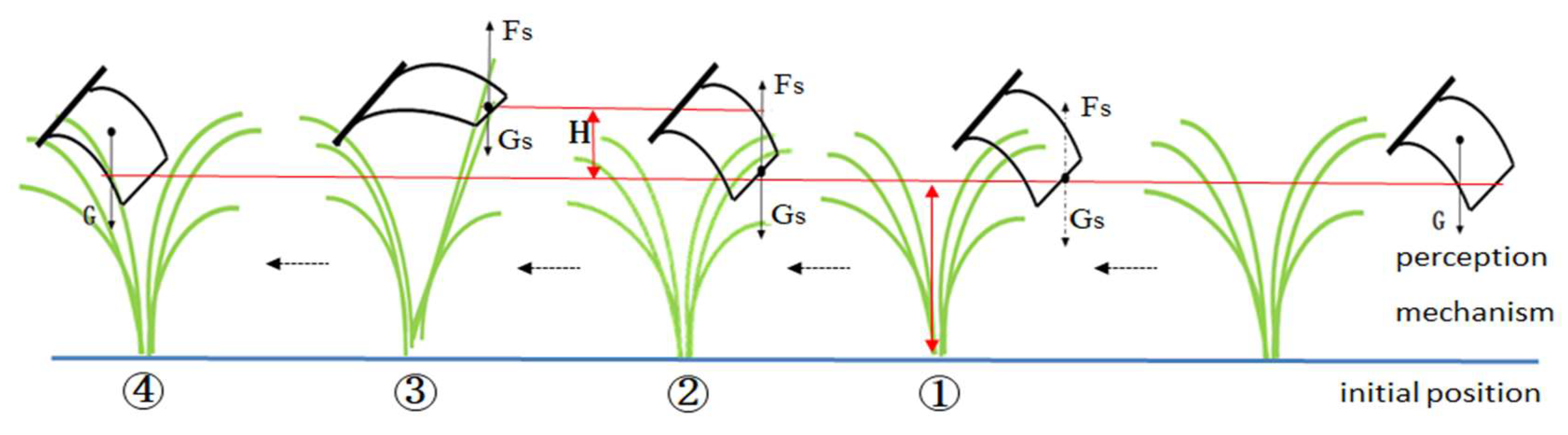 Horticulturae 11 00688 g005