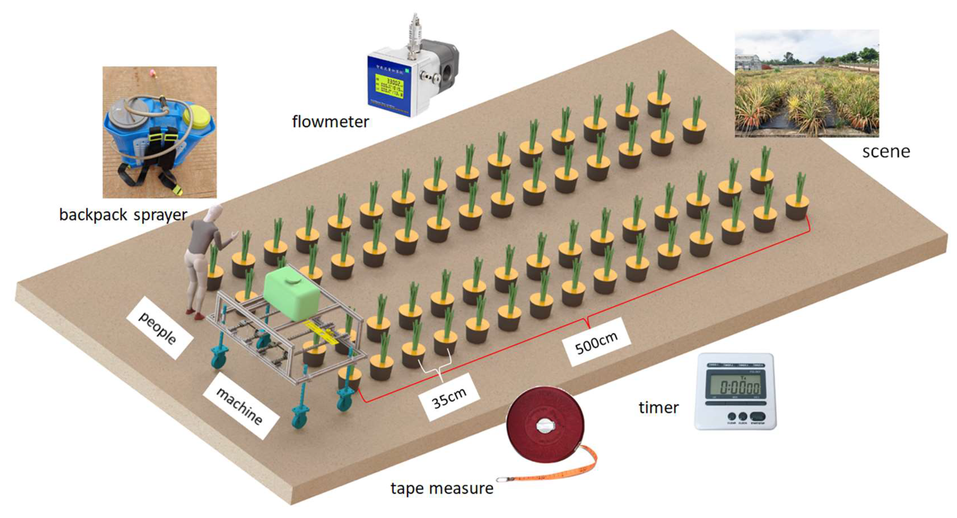 Horticulturae 11 00688 g015