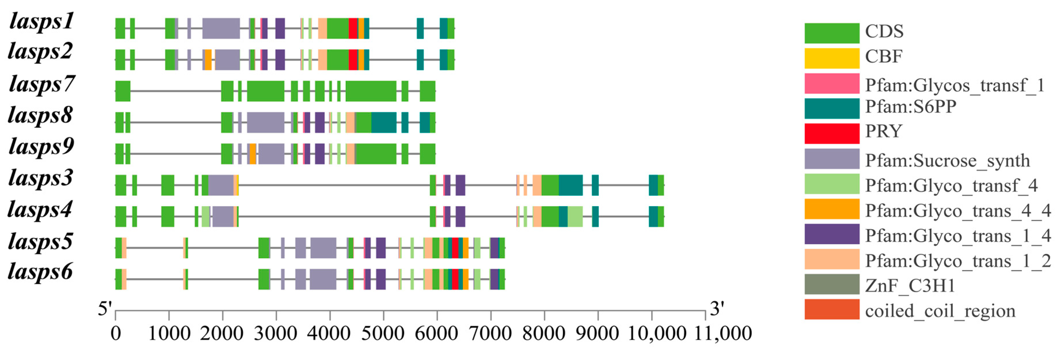 Horticulturae 11 00689 g001