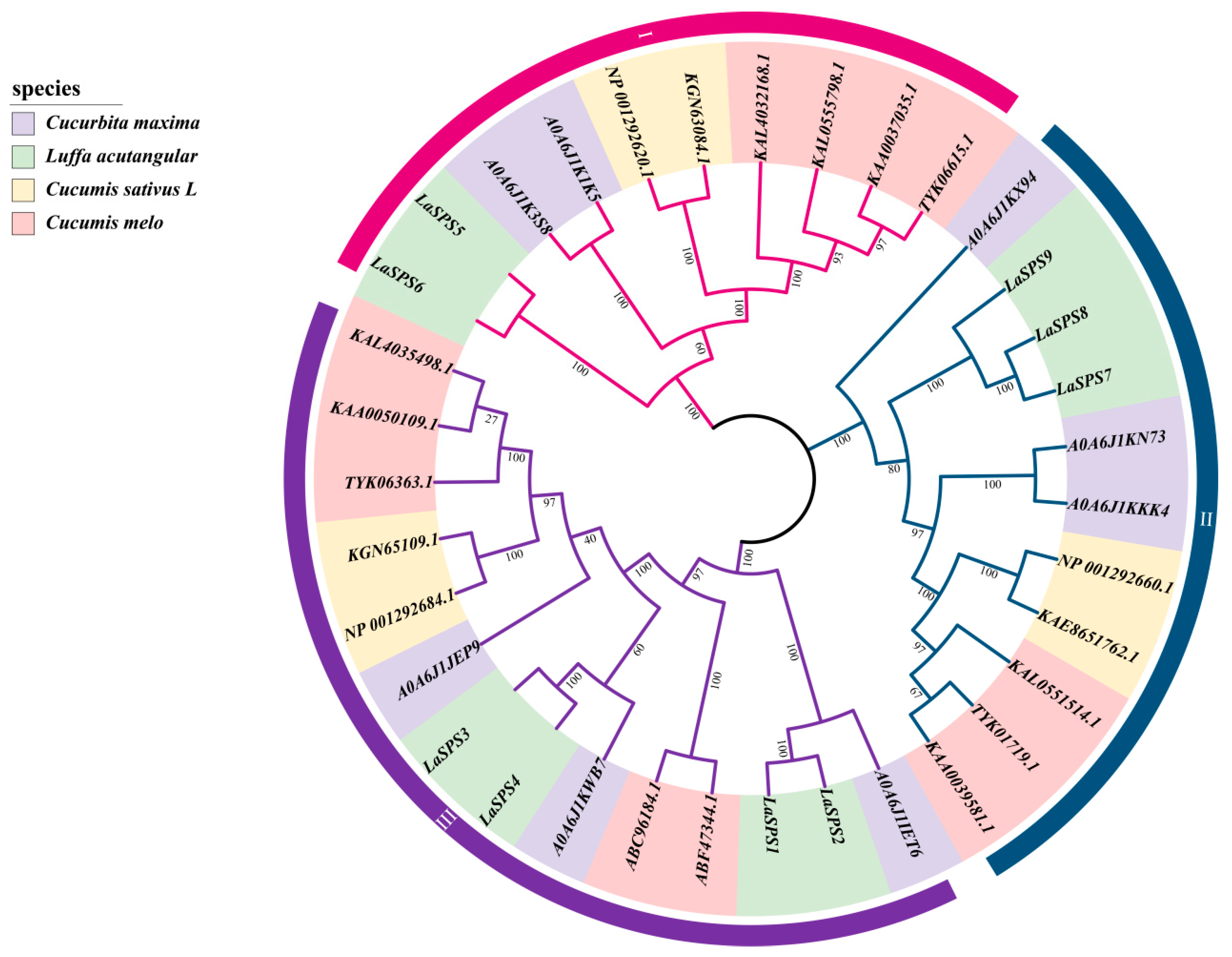 Horticulturae 11 00689 g002