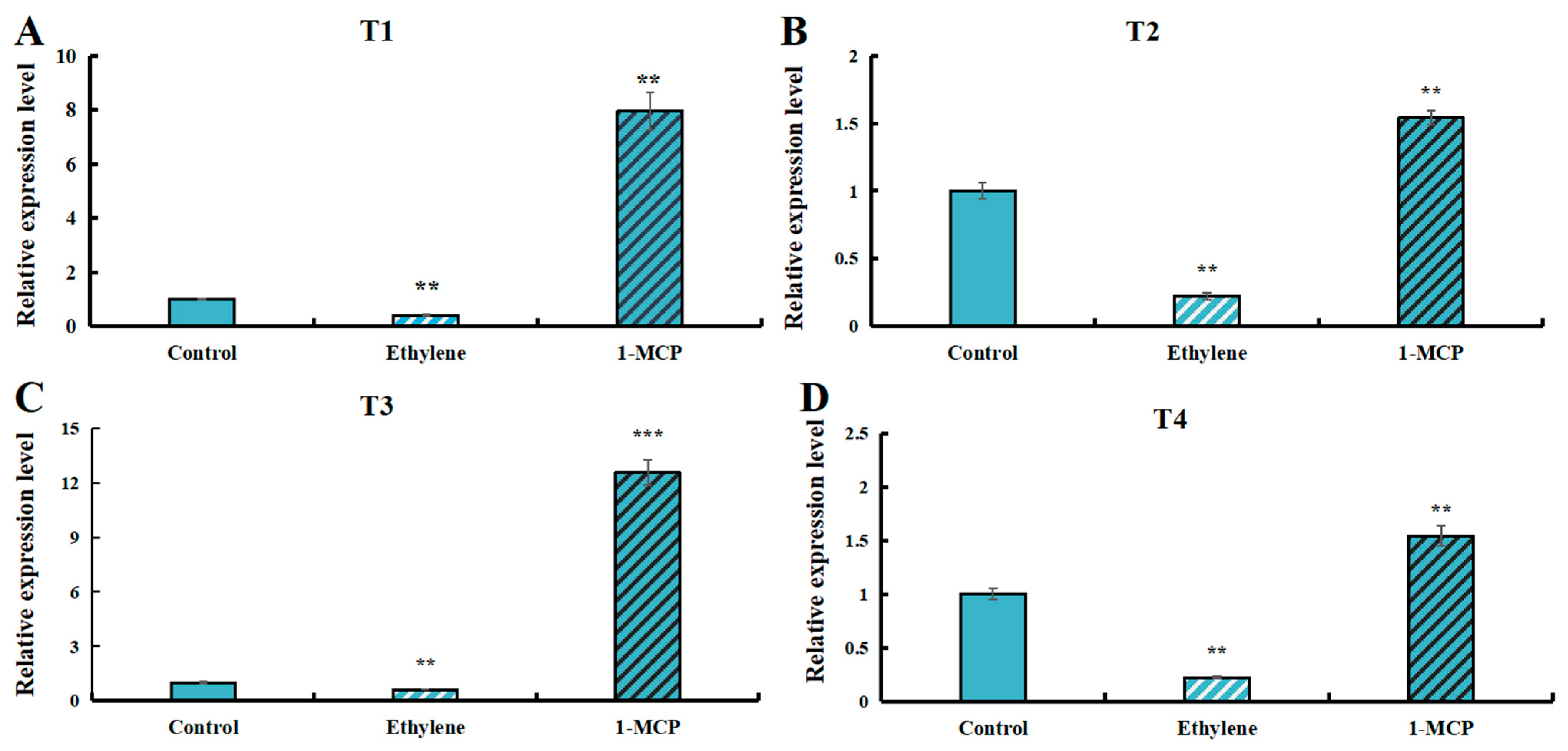 Horticulturae 11 00689 g008