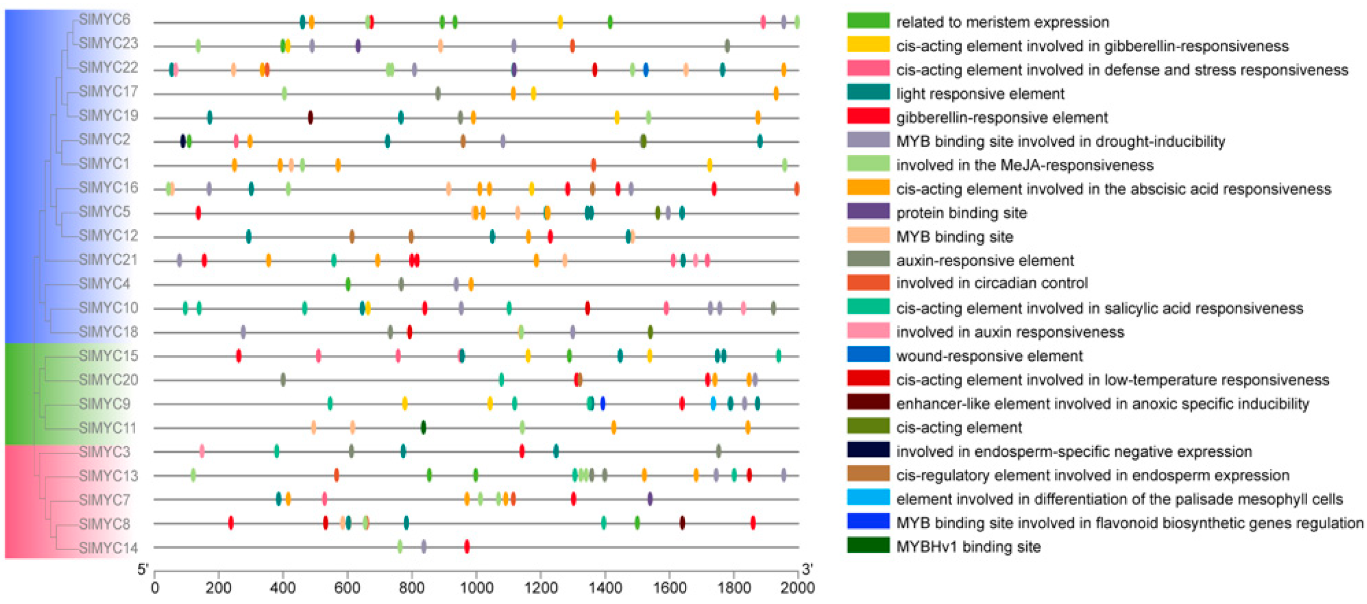 Horticulturae 11 00693 g003