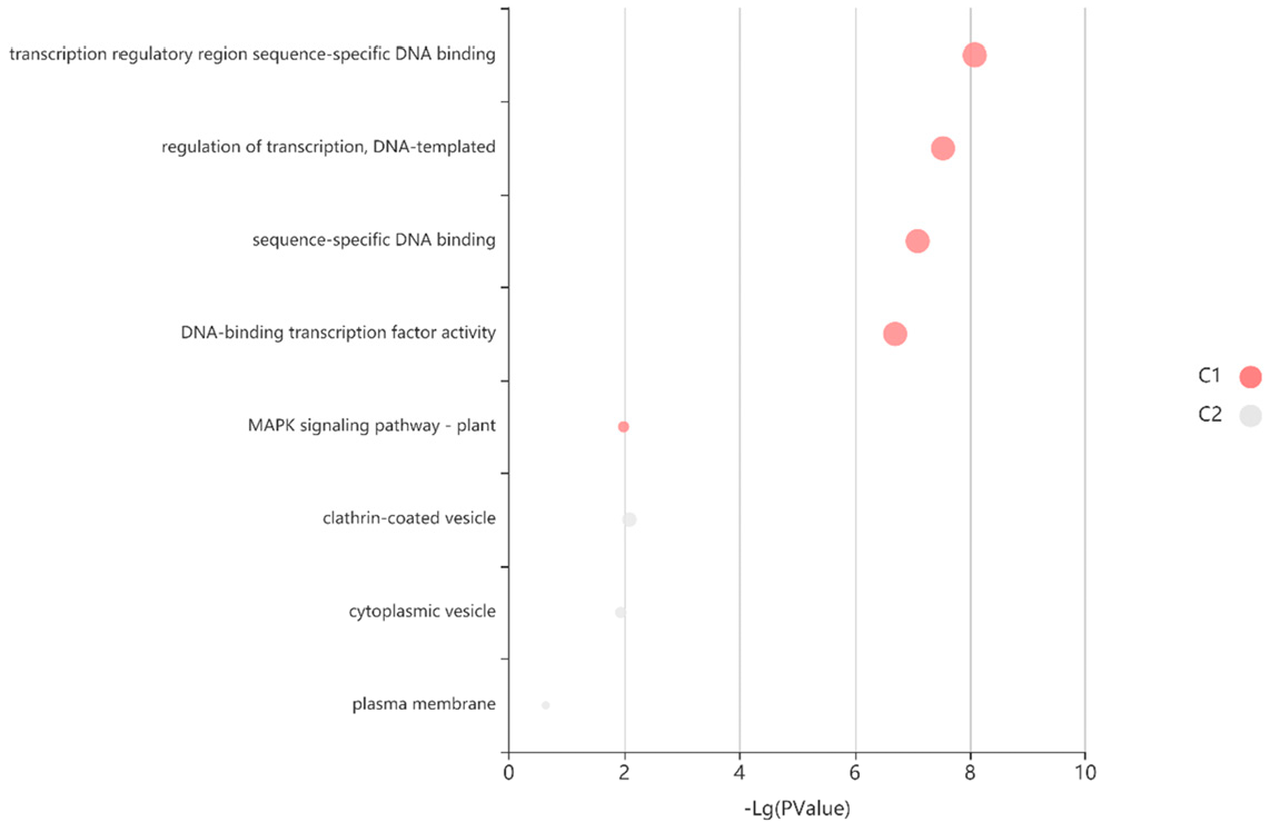 Horticulturae 11 00693 g005