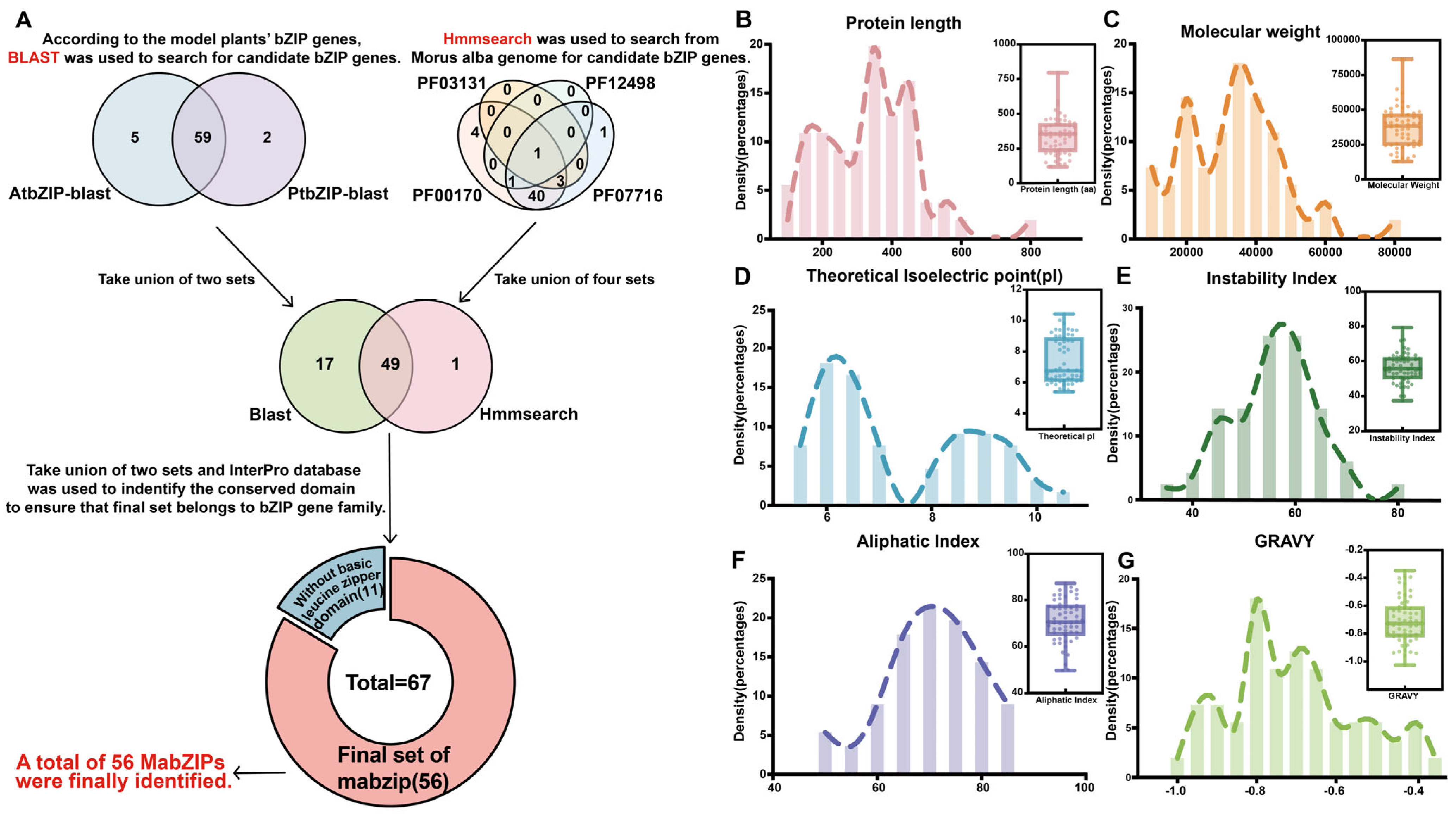 Horticulturae 11 00694 g001