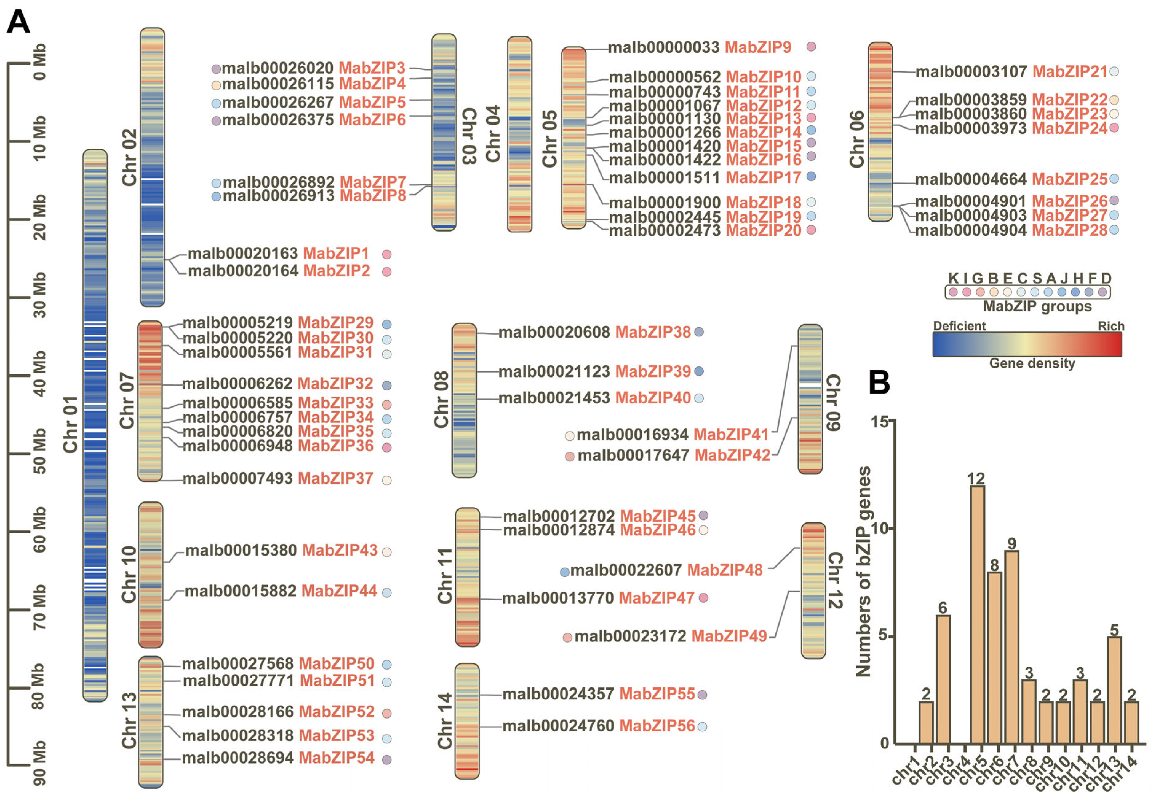 Horticulturae 11 00694 g002