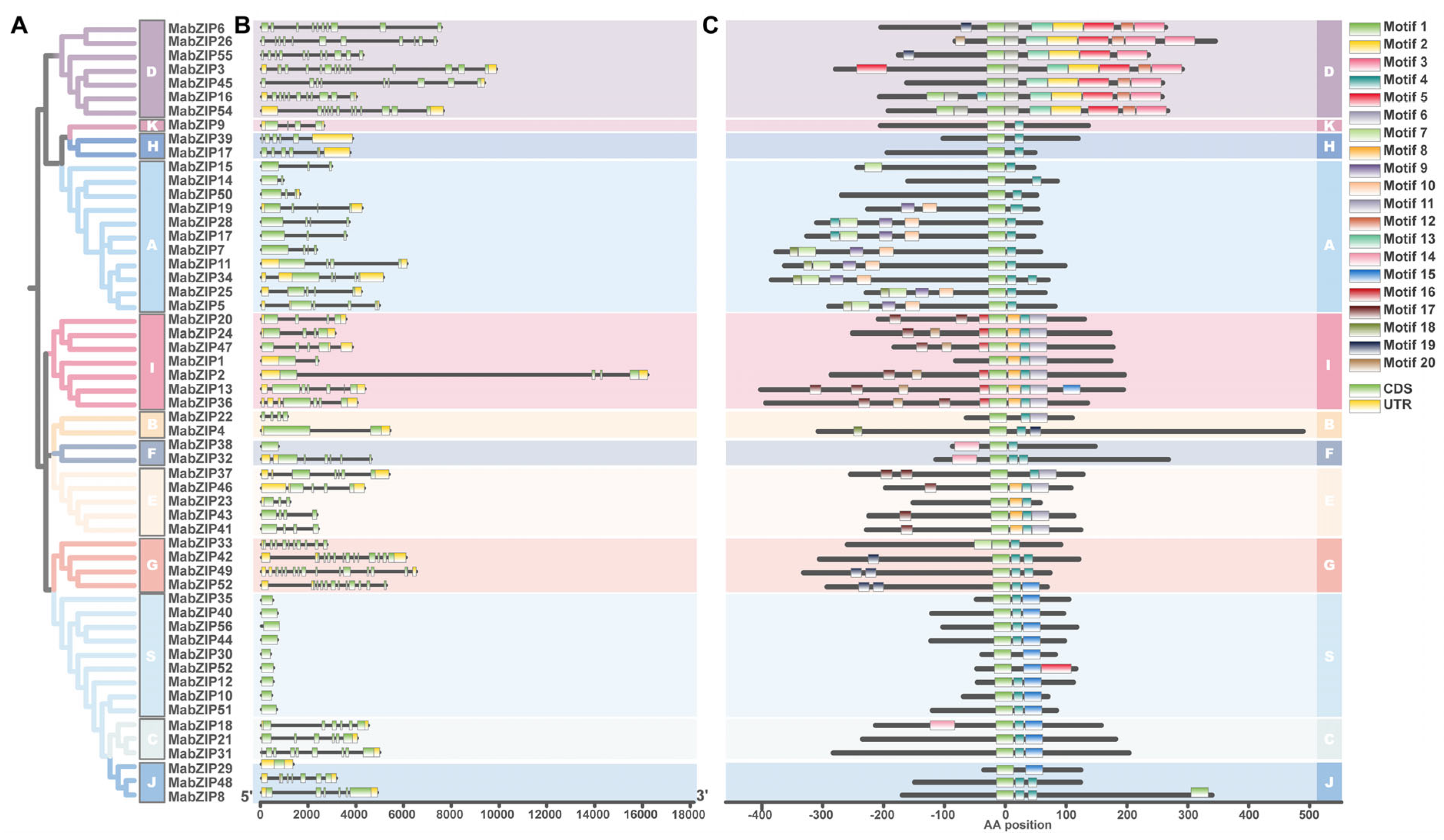 Horticulturae 11 00694 g004
