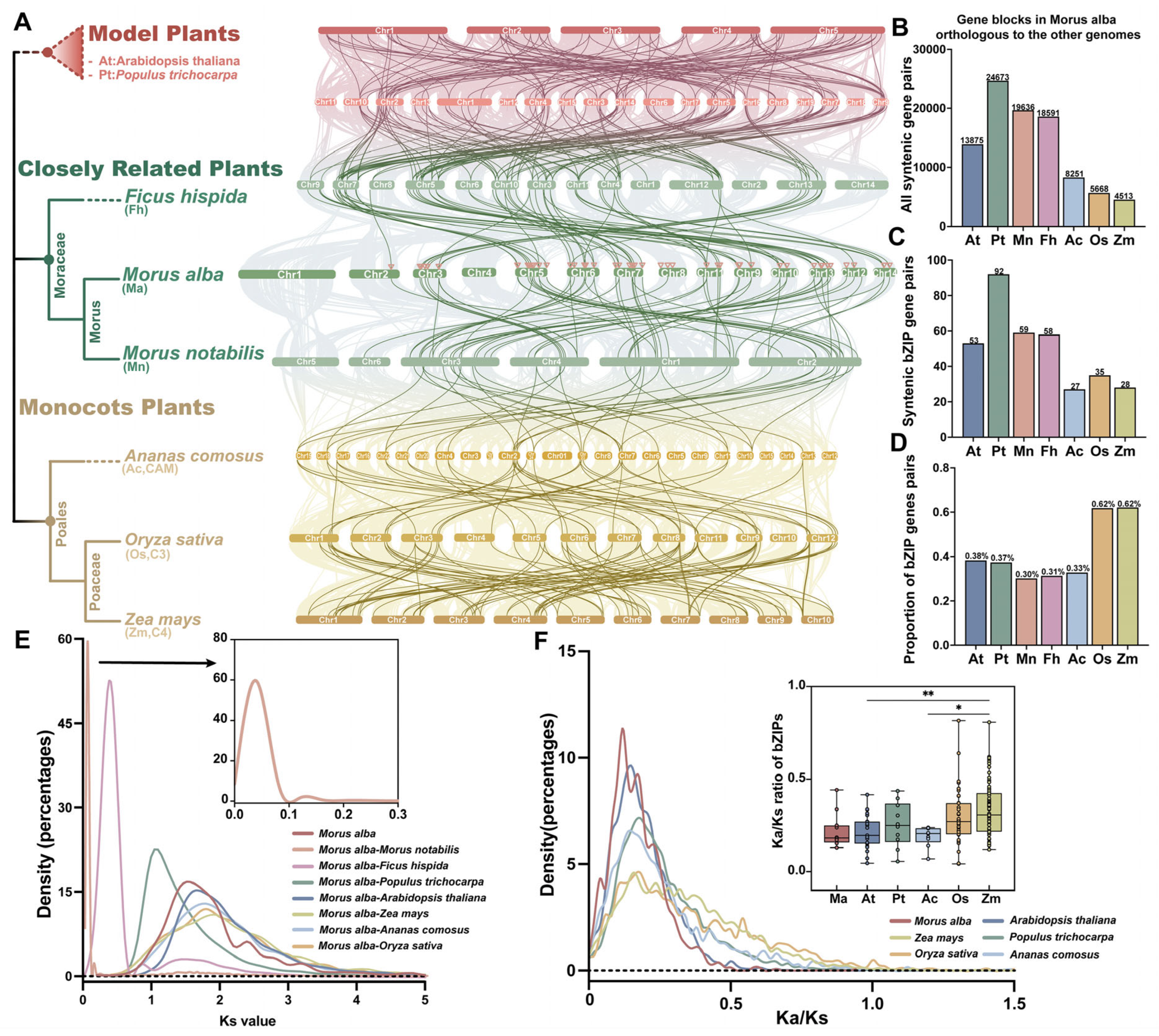 Horticulturae 11 00694 g006