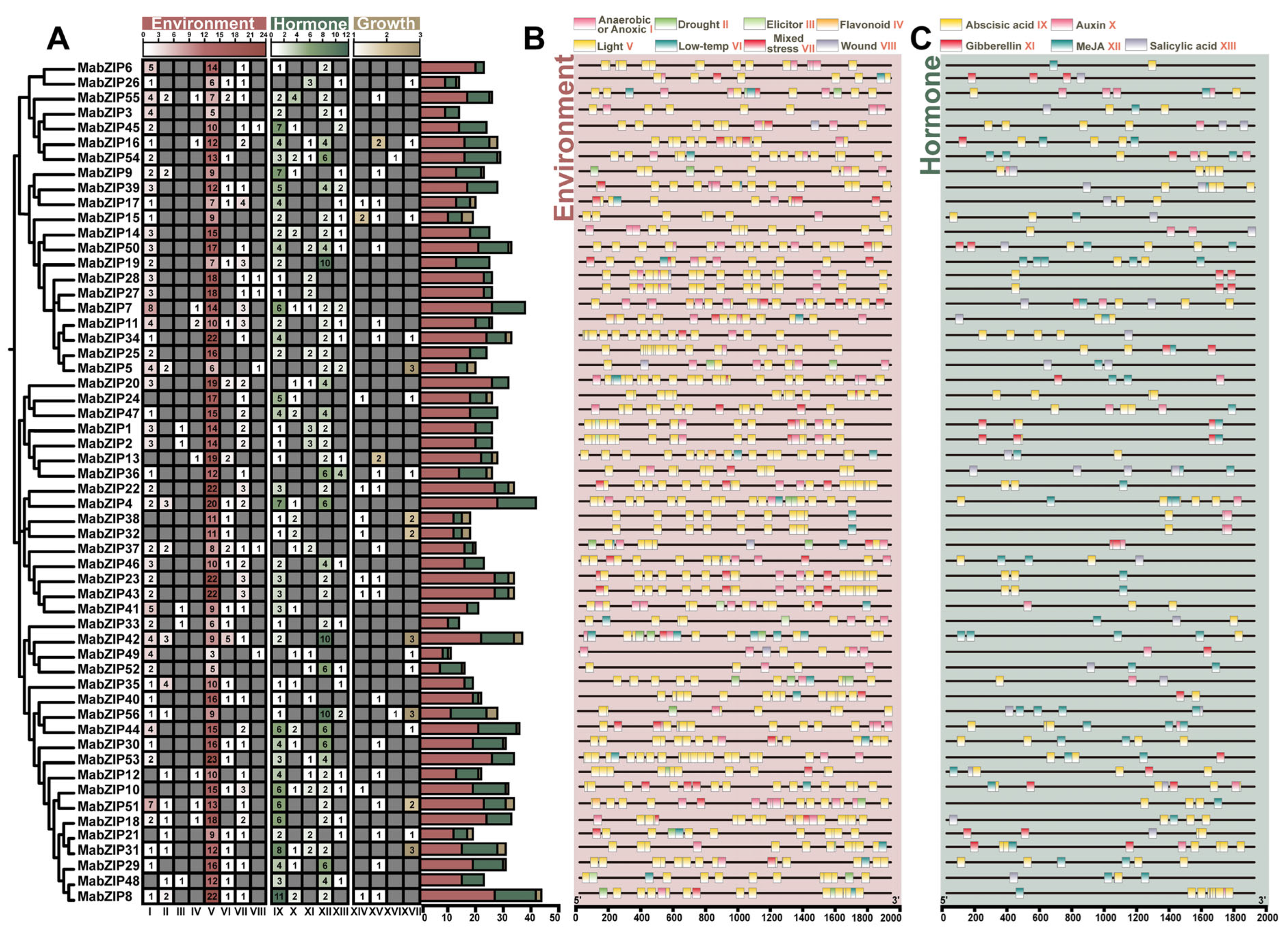 Horticulturae 11 00694 g007