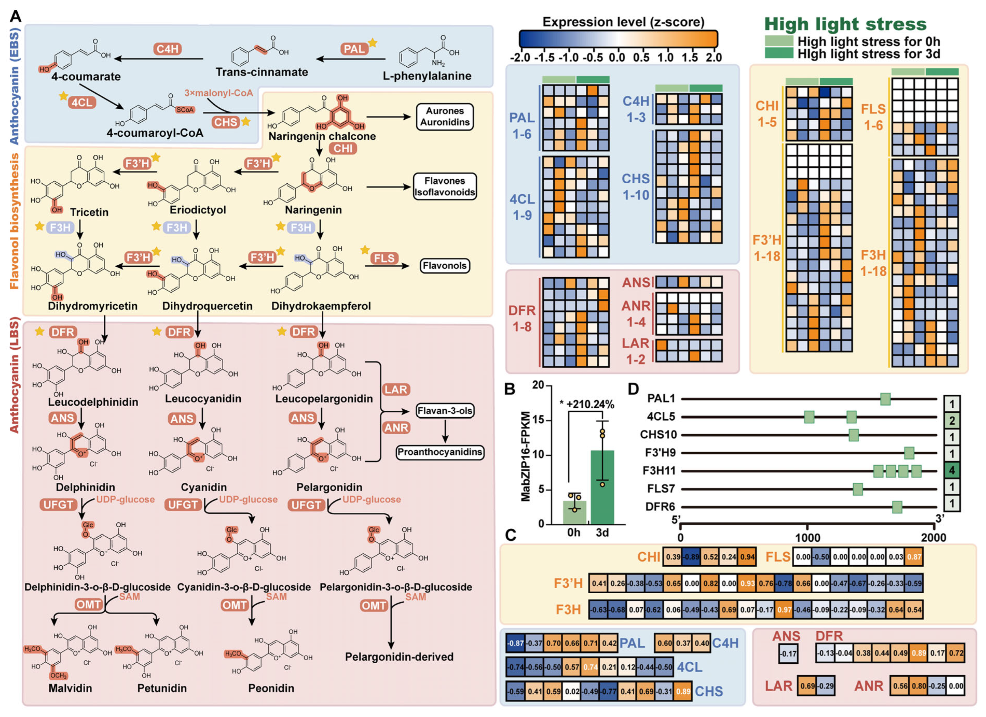 Horticulturae 11 00694 g009