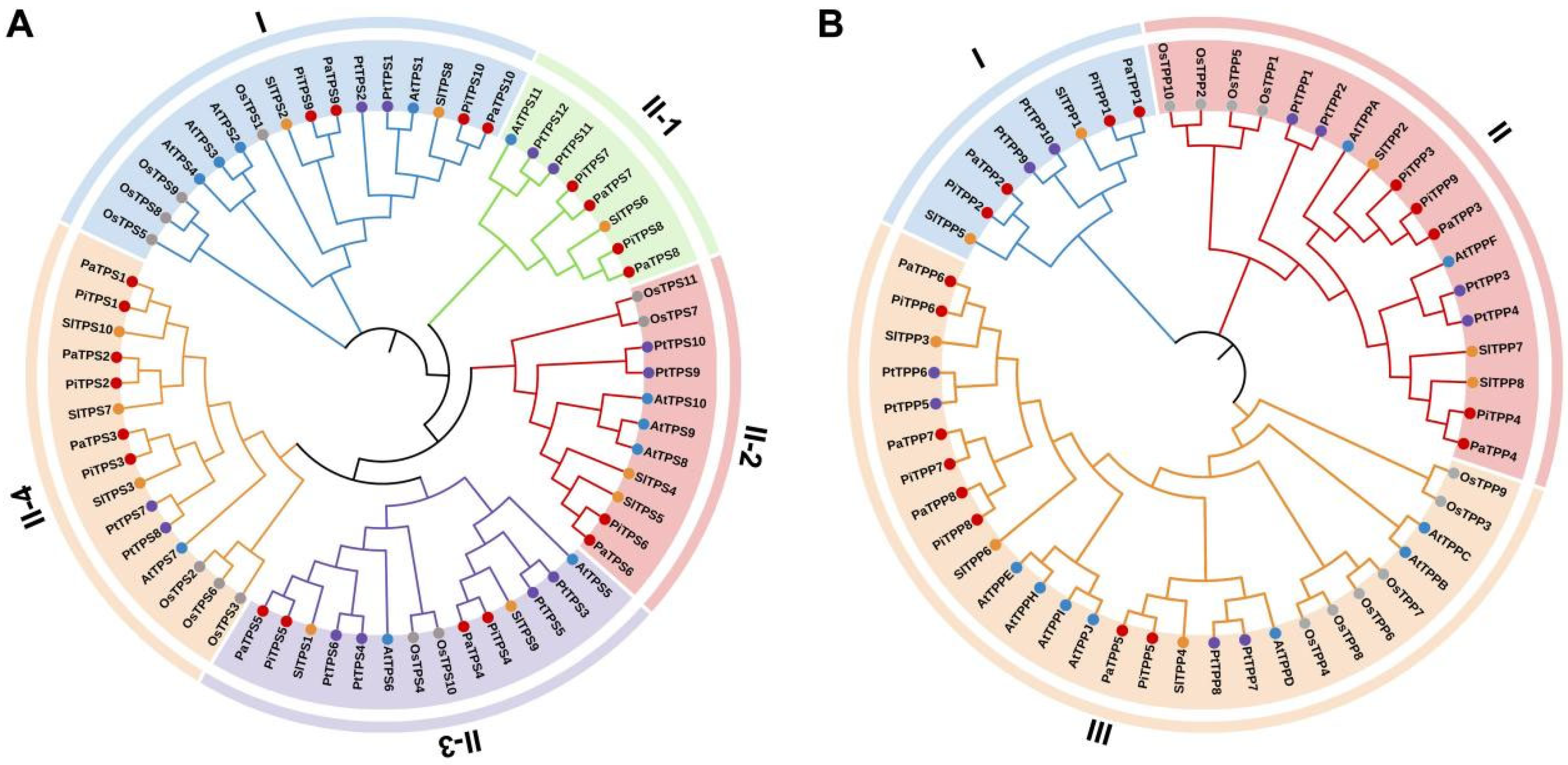 Horticulturae 11 00695 g001