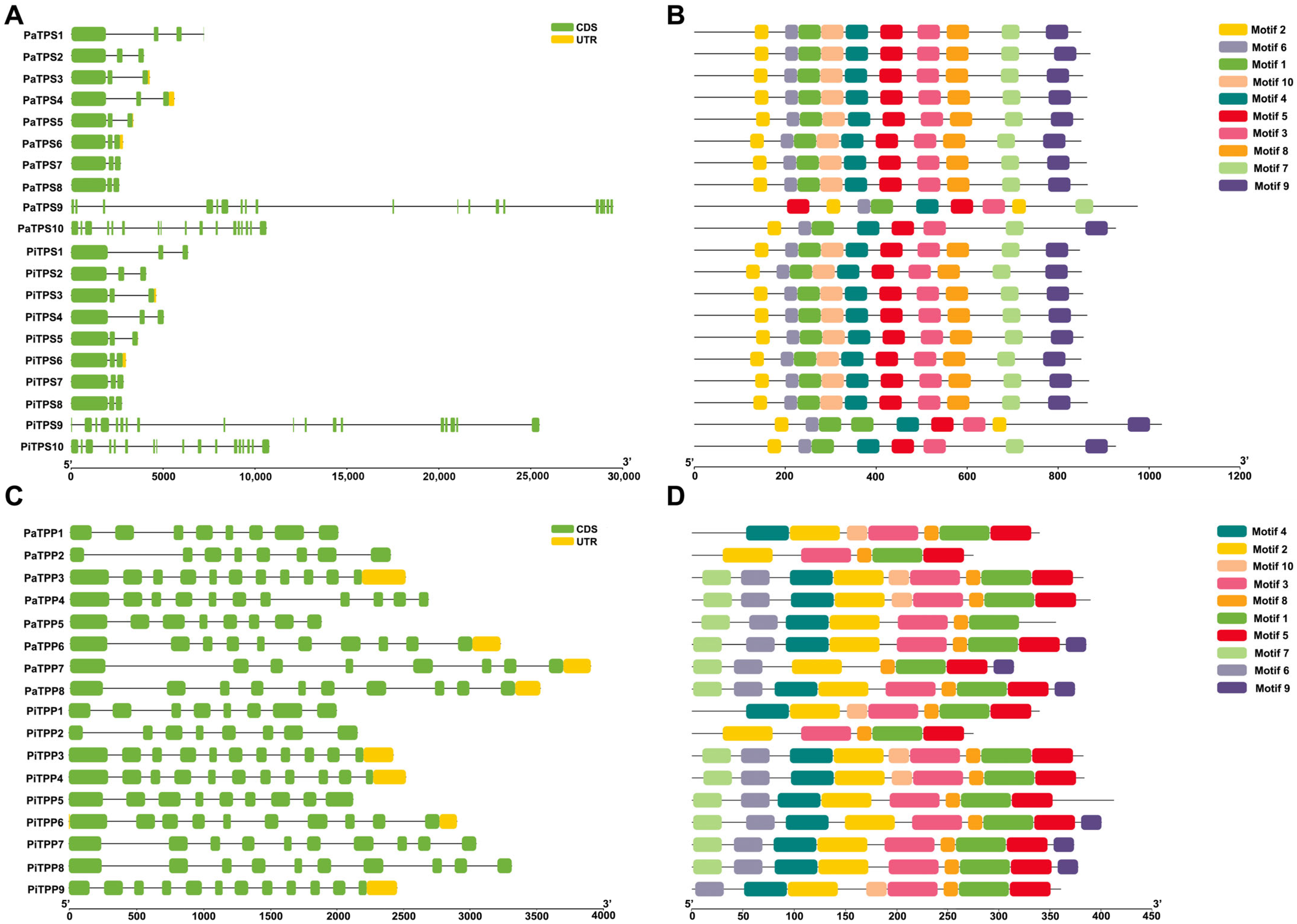 Horticulturae 11 00695 g002