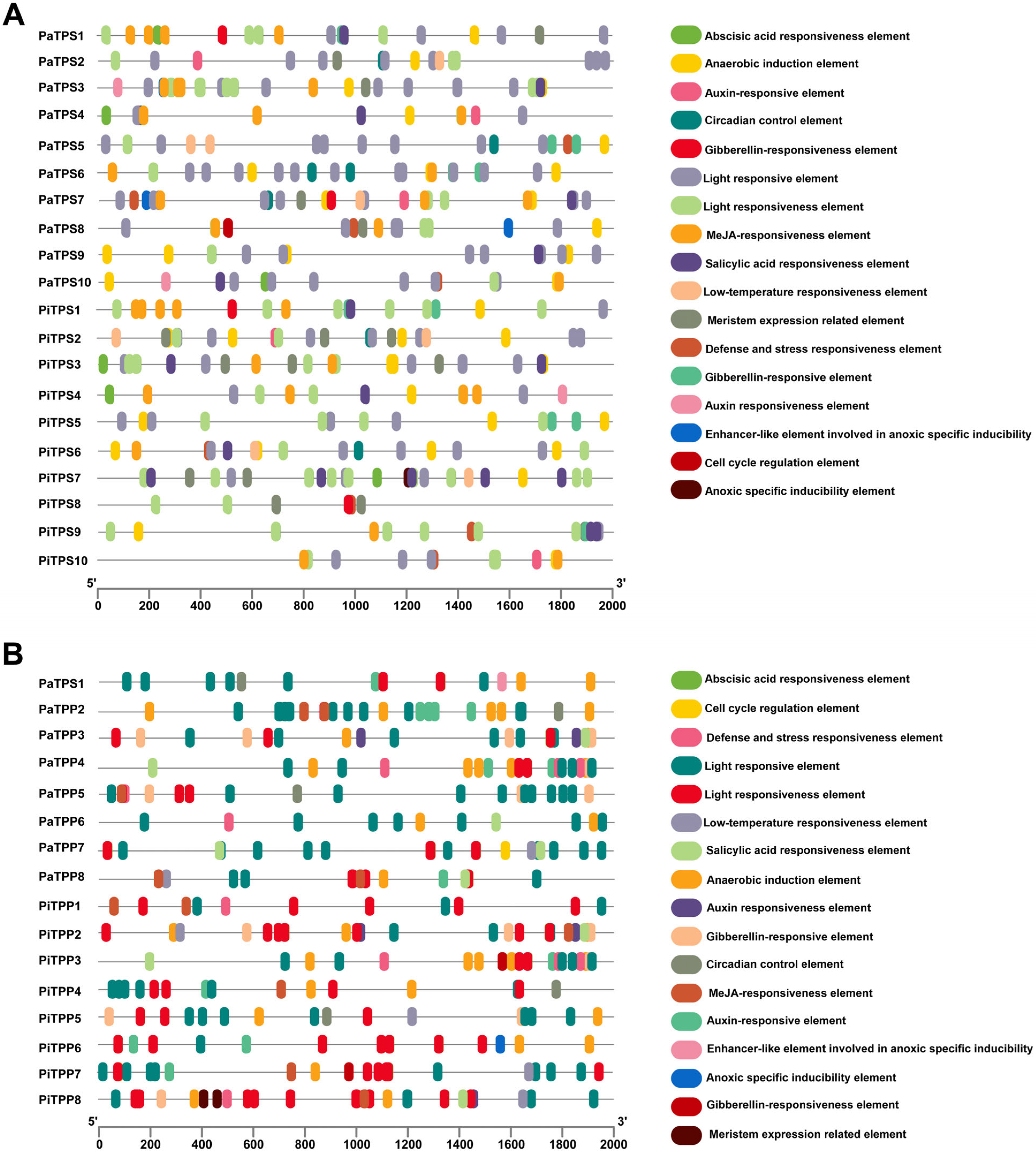 Horticulturae 11 00695 g003