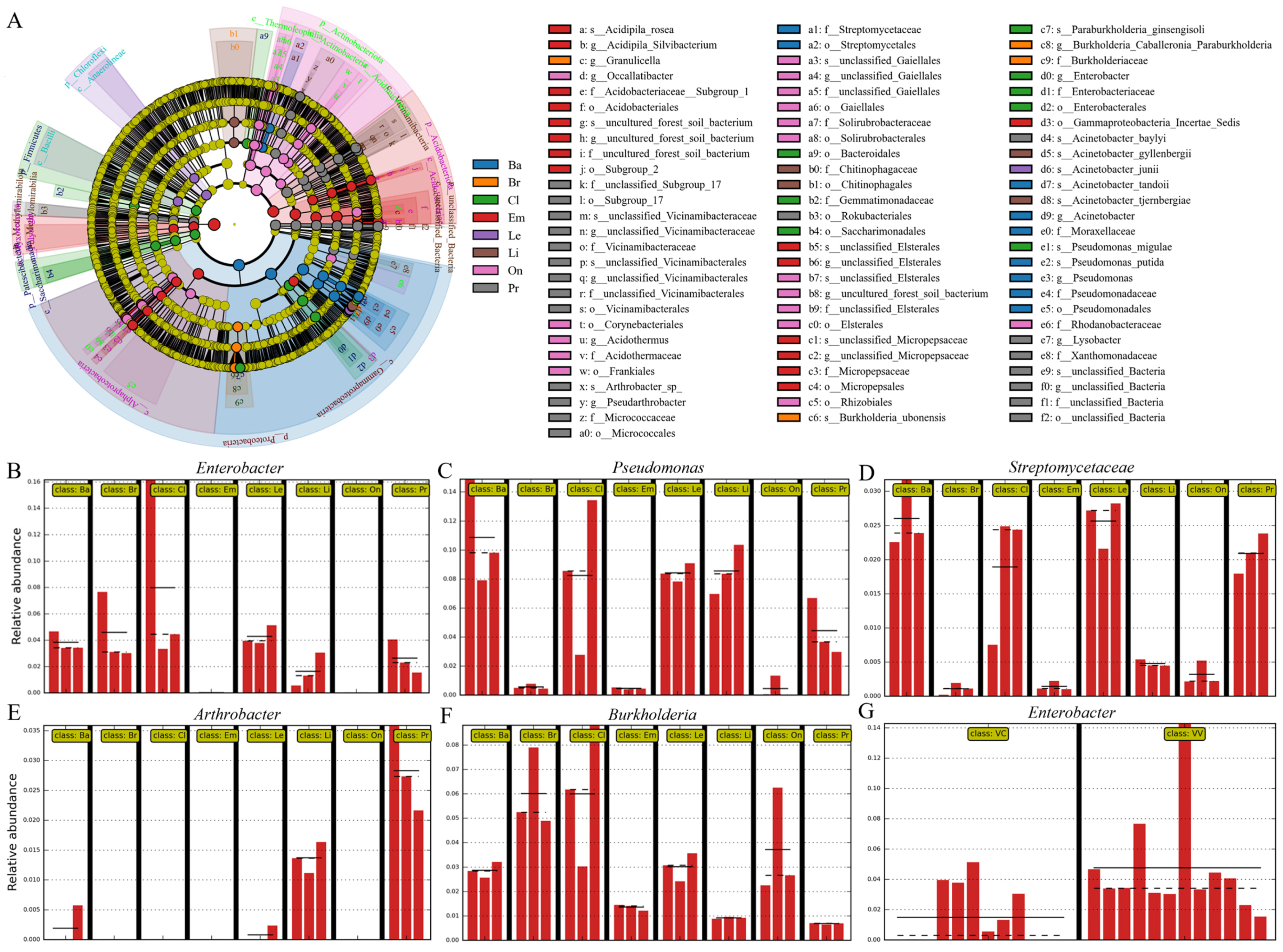 Horticulturae 11 00696 g007