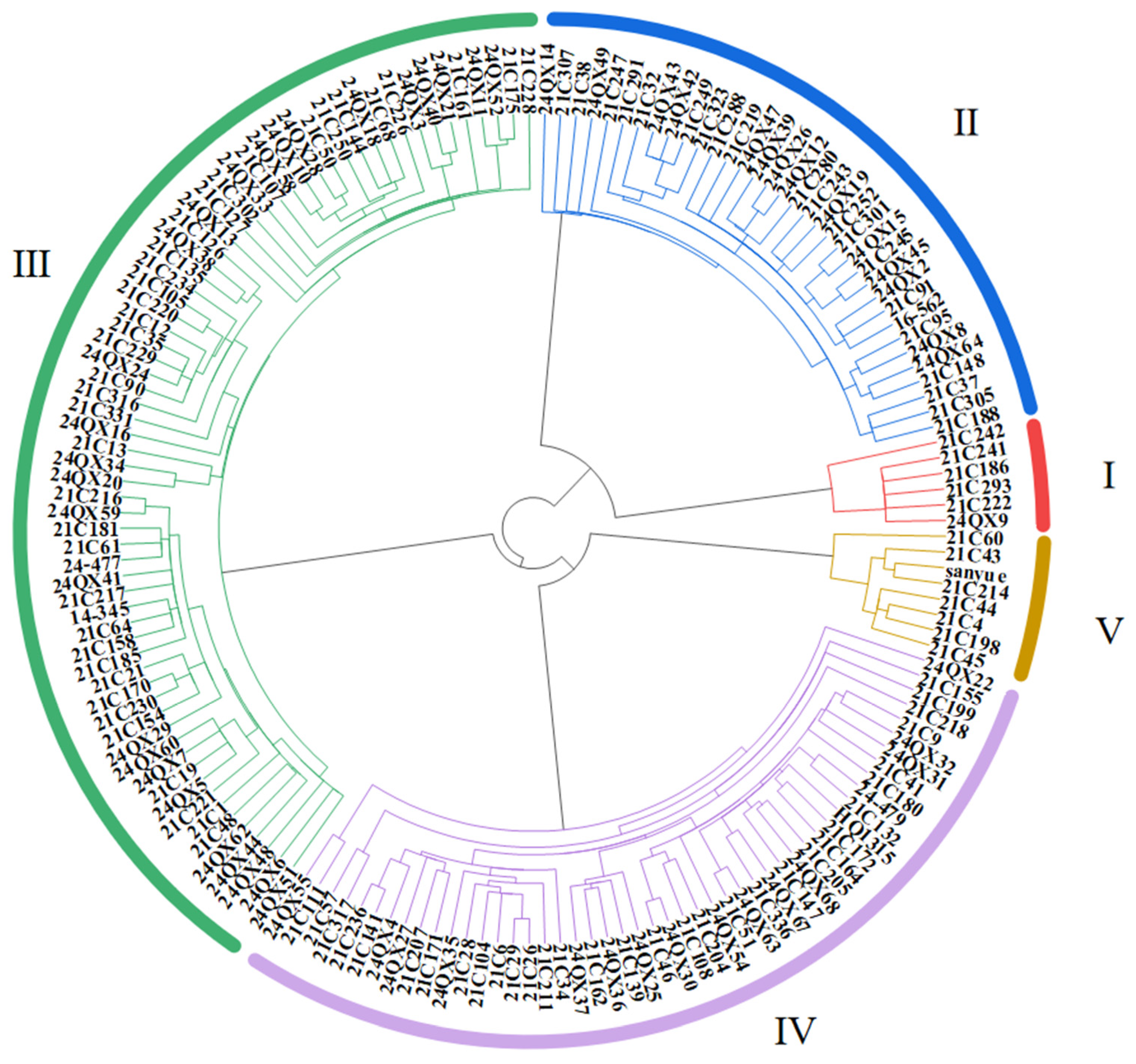 Horticulturae 11 00697 g003